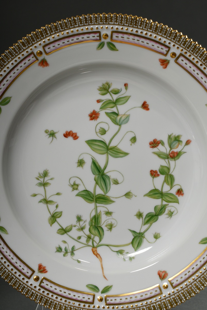 6 Royal Copenhagen "Flora Danica" dinner plates with polychrome painting in the mirror and gold dec - Image 8 of 15
