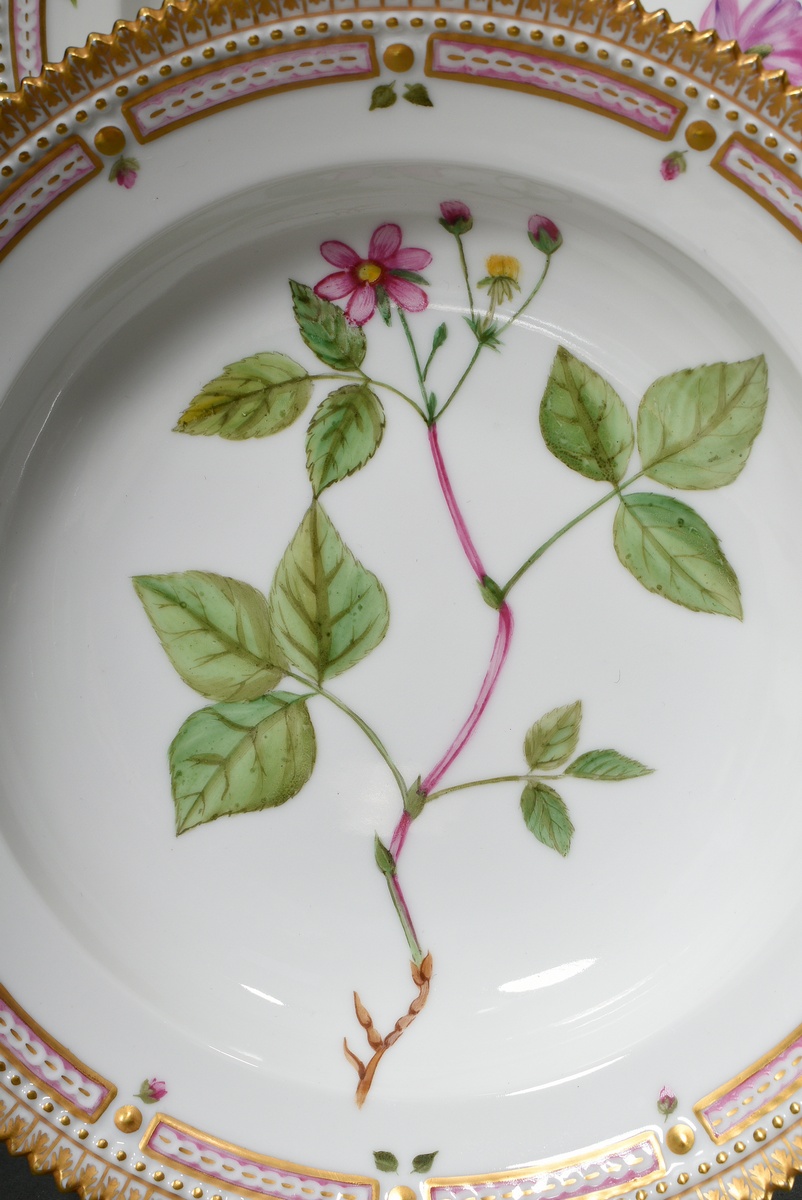 6 deep Royal Copenhagen "Flora Danica" plates with polychrome painting in the mirror and gold decor - Image 6 of 15