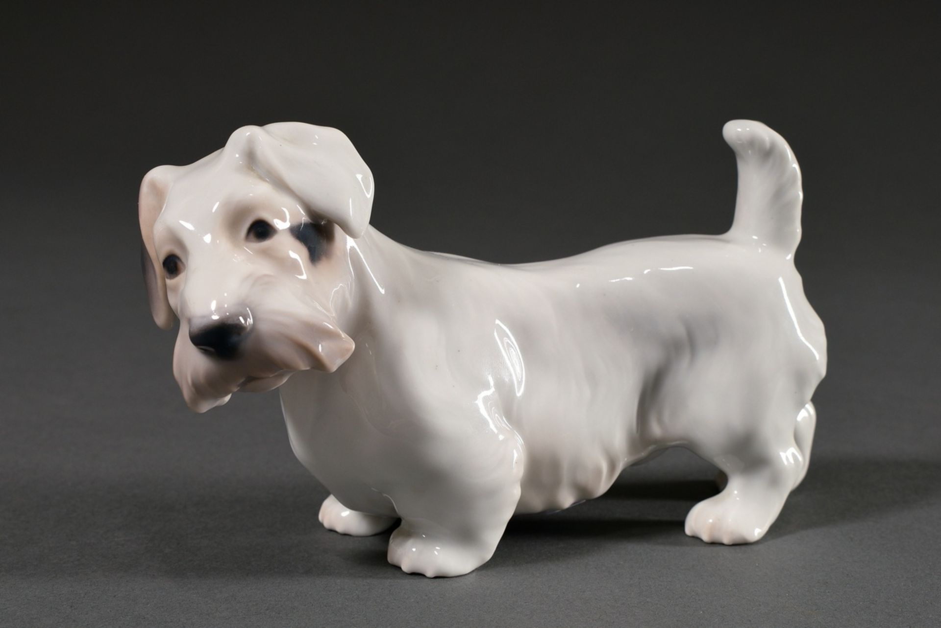 4 Various Bing & Gröndahl figures "St. Bernard, Pointer, Sealyham Terrier Puppies" with polychrome  - Image 8 of 13