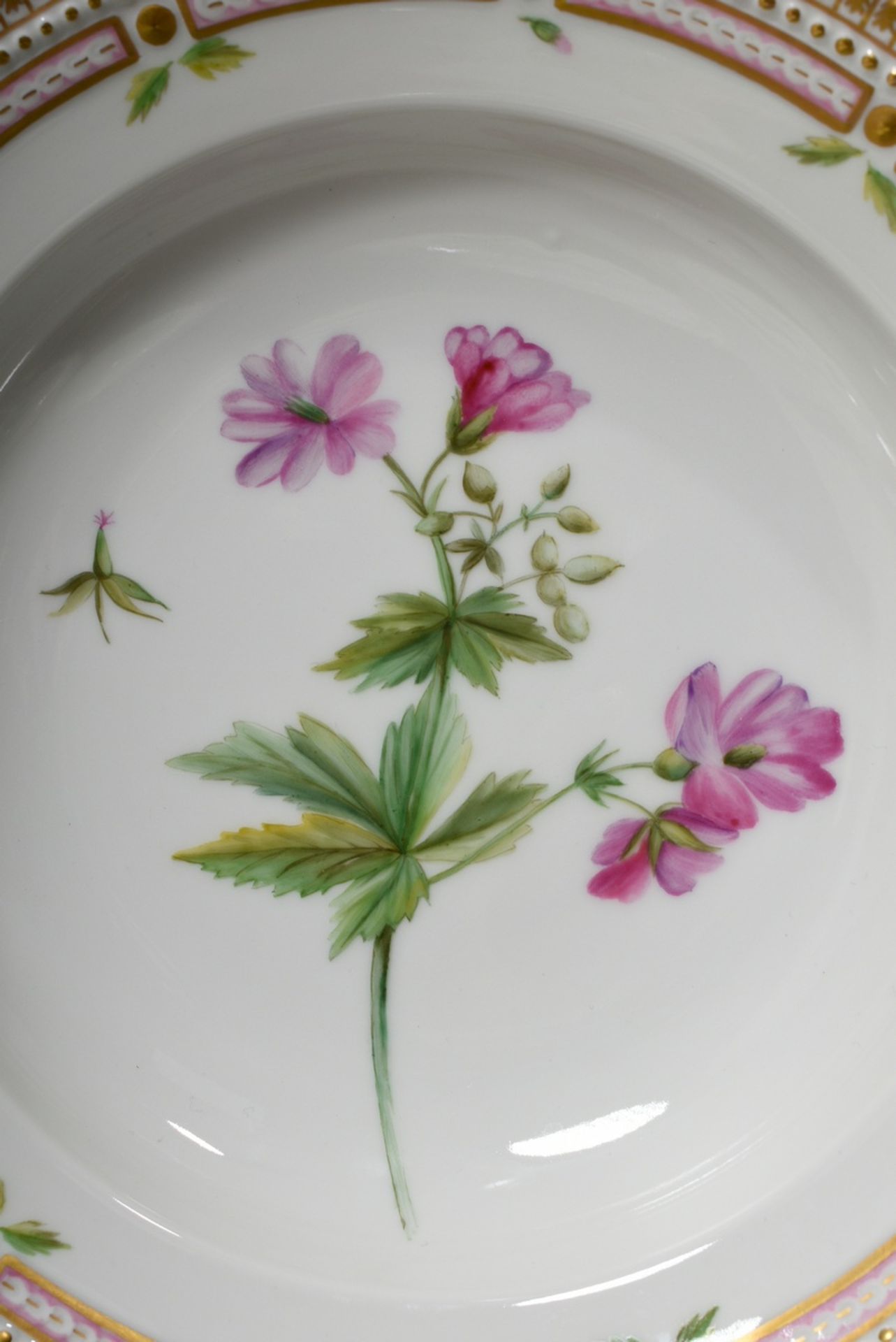 6 deep Royal Copenhagen "Flora Danica" plates with polychrome painting in the mirror and gold decor - Image 9 of 15