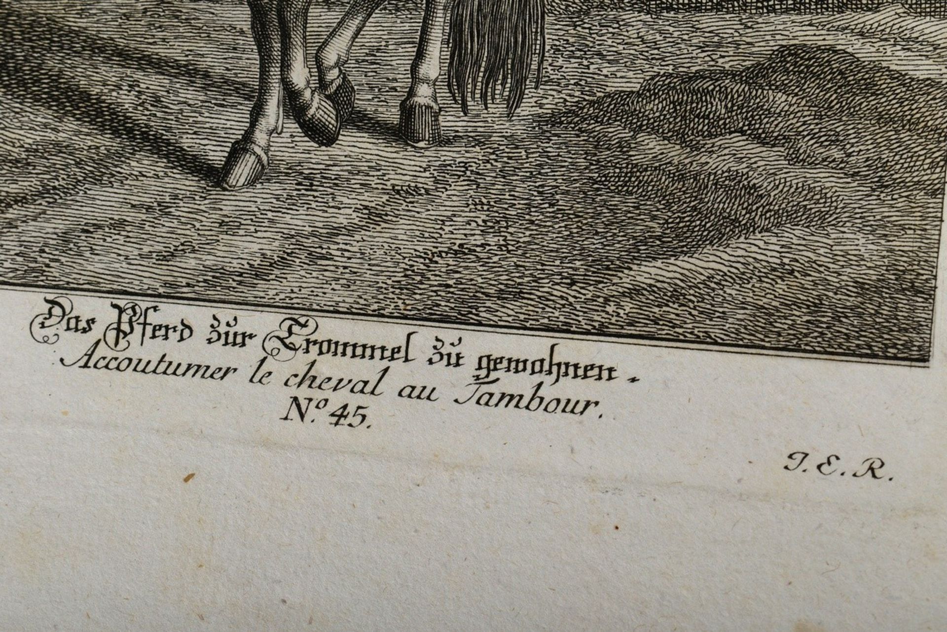 Band "Vorstellung und Beschreibung derer Schul und Campagne Pferden nach ihren Lectionen..." 1760,  - Bild 7 aus 7