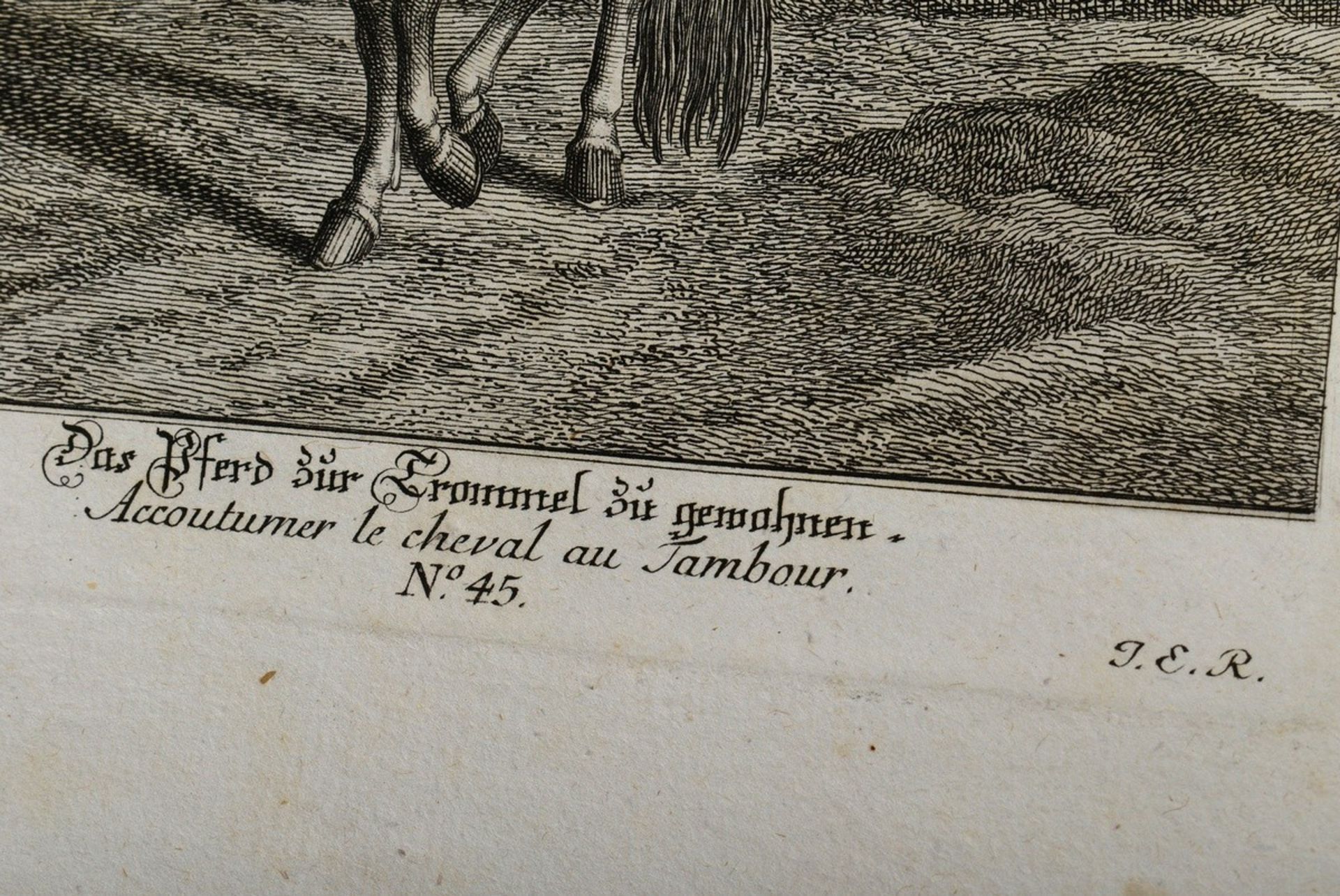 Volume "Vorstellung und Beschreibung derer Schul und Campagne Pferden nach ihren Lectionen..." 1760 - Image 7 of 7