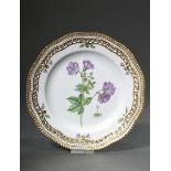 Openwork Royal Copenhagen "Flora Danica" plate with polychrome painting in the mirror and gold deco