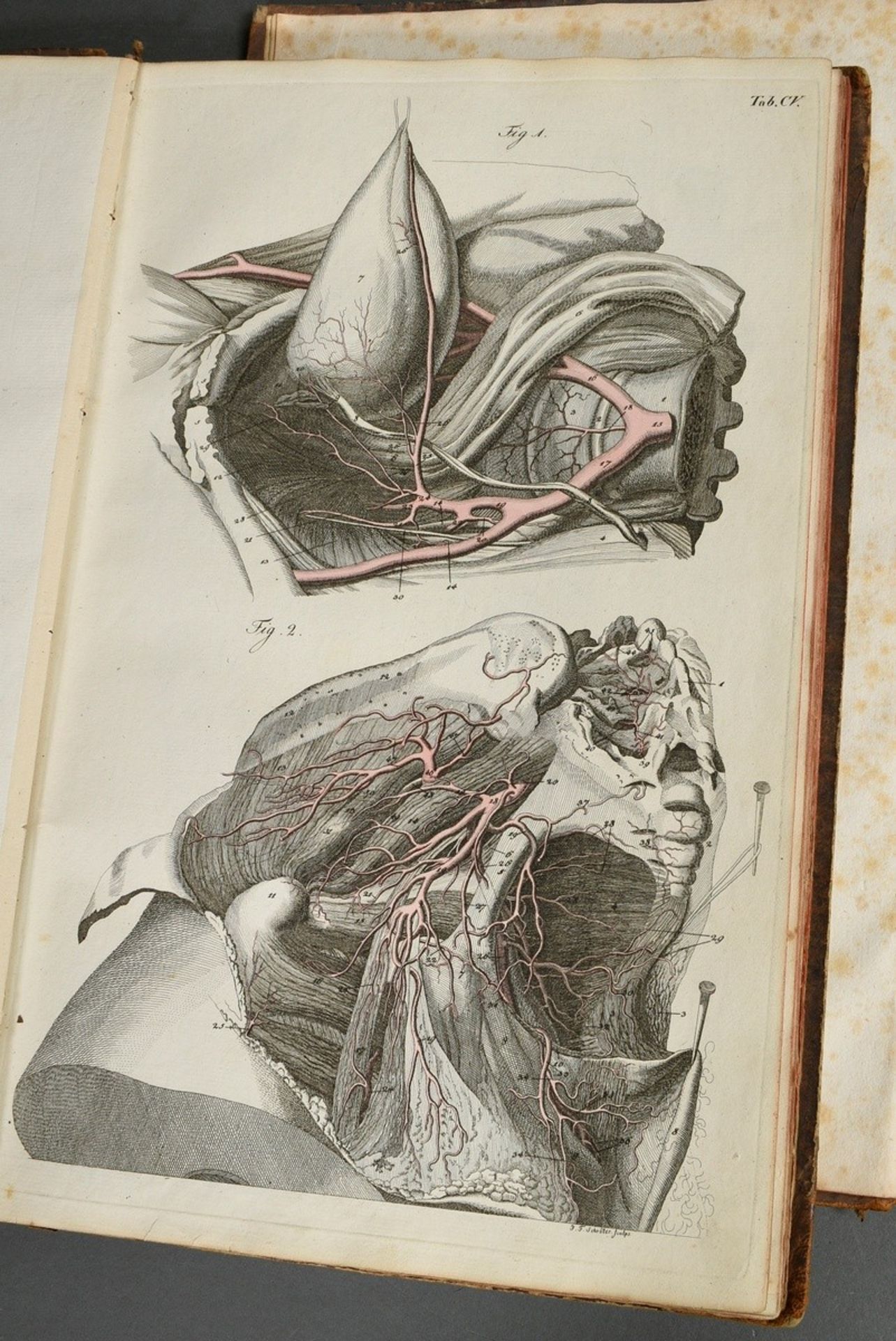 2 volumes Justus Christian von Loder "Tabularum Anatomicarum/ Volumen I und II" 1803, half-leather  - Image 4 of 8