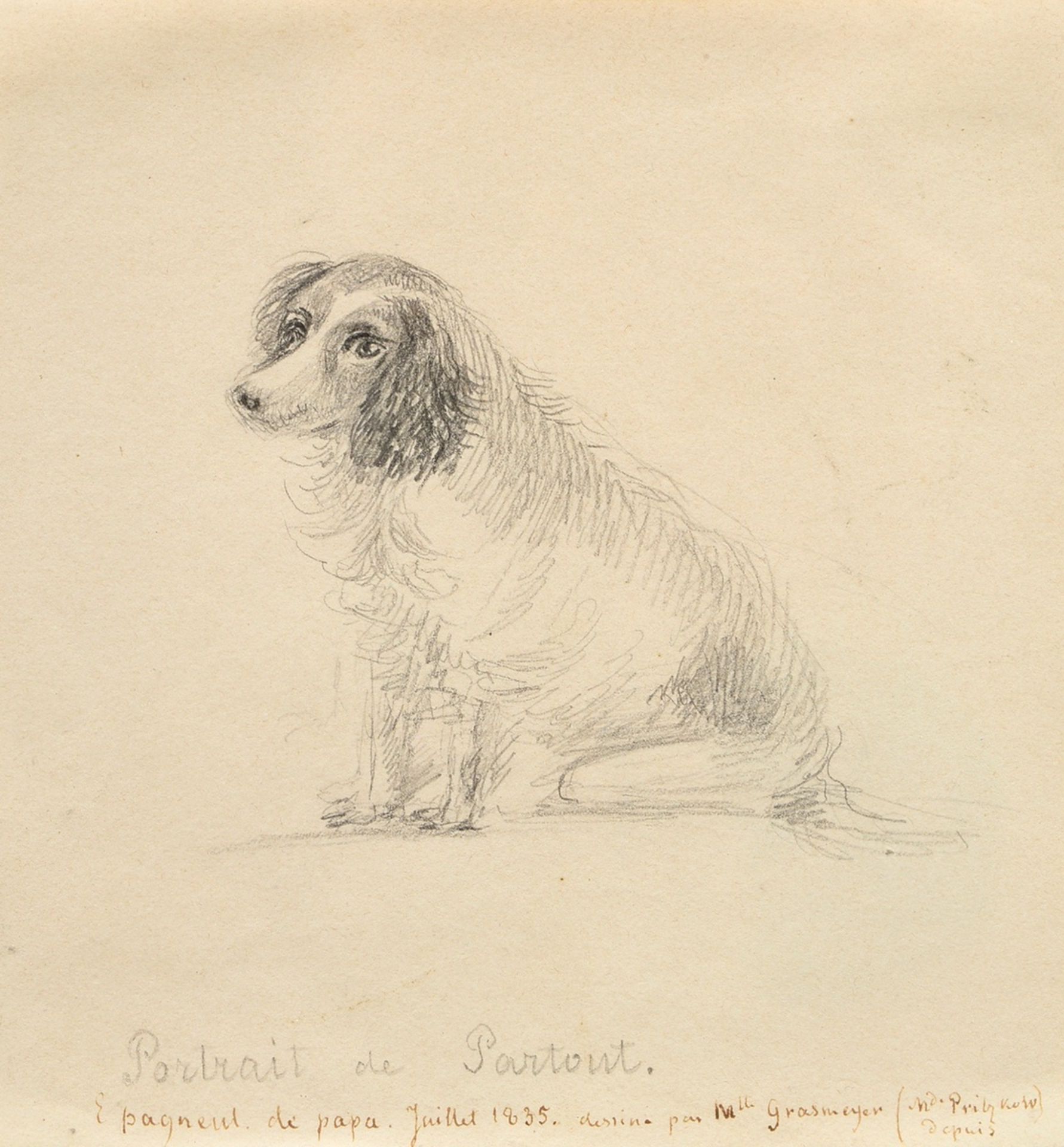 Unknown French artist (Mlle Grasmeyer) "Portrait de Partout" (Breton Spaniel) 1835, pencil, below d