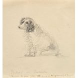 Unbekannte französische Künstlerin (Mlle Grasmeyer) "Portrait de Partout" (bretonischer Spaniel) 18