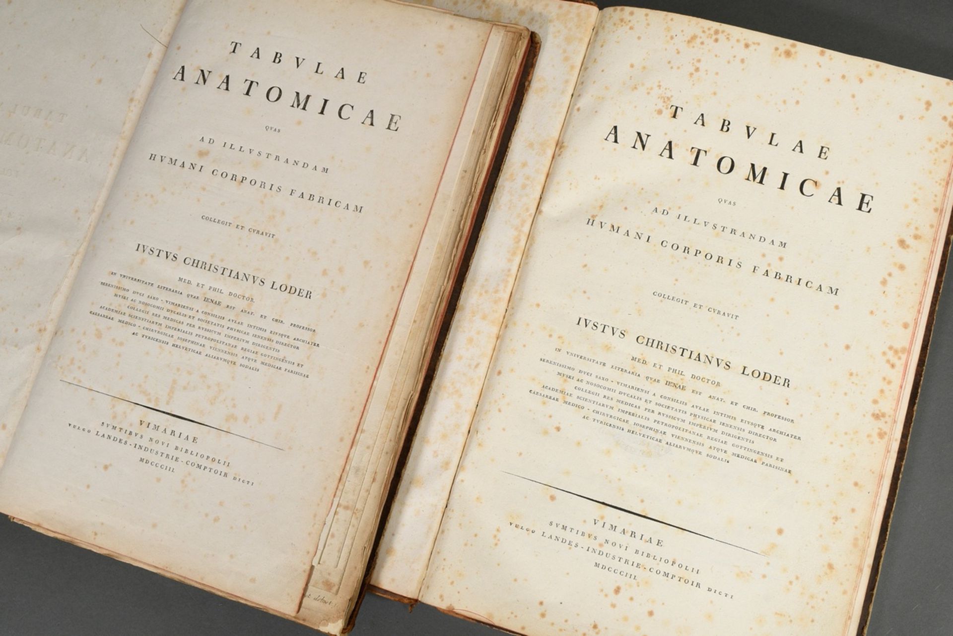 2 Bände Justus Christian von Loder "Tabularum Anatomicarum/ Volumen I und II" 1803, Halbledereinban - Bild 3 aus 8