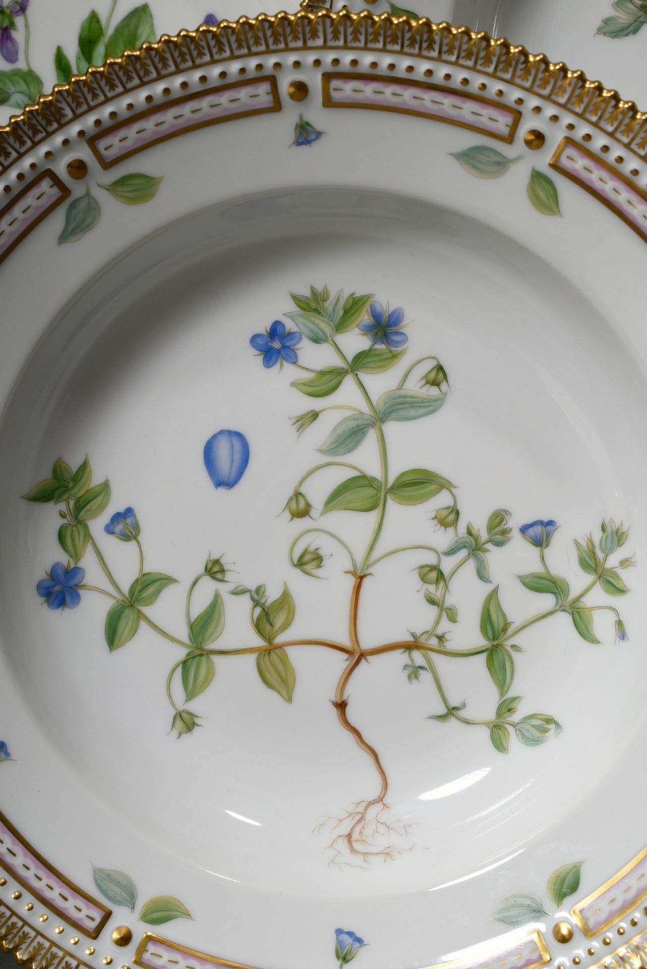 7 Royal Copenhagen "Flora Danica" plate with polychrome painting in the mirror and gold decorated s - Image 5 of 17