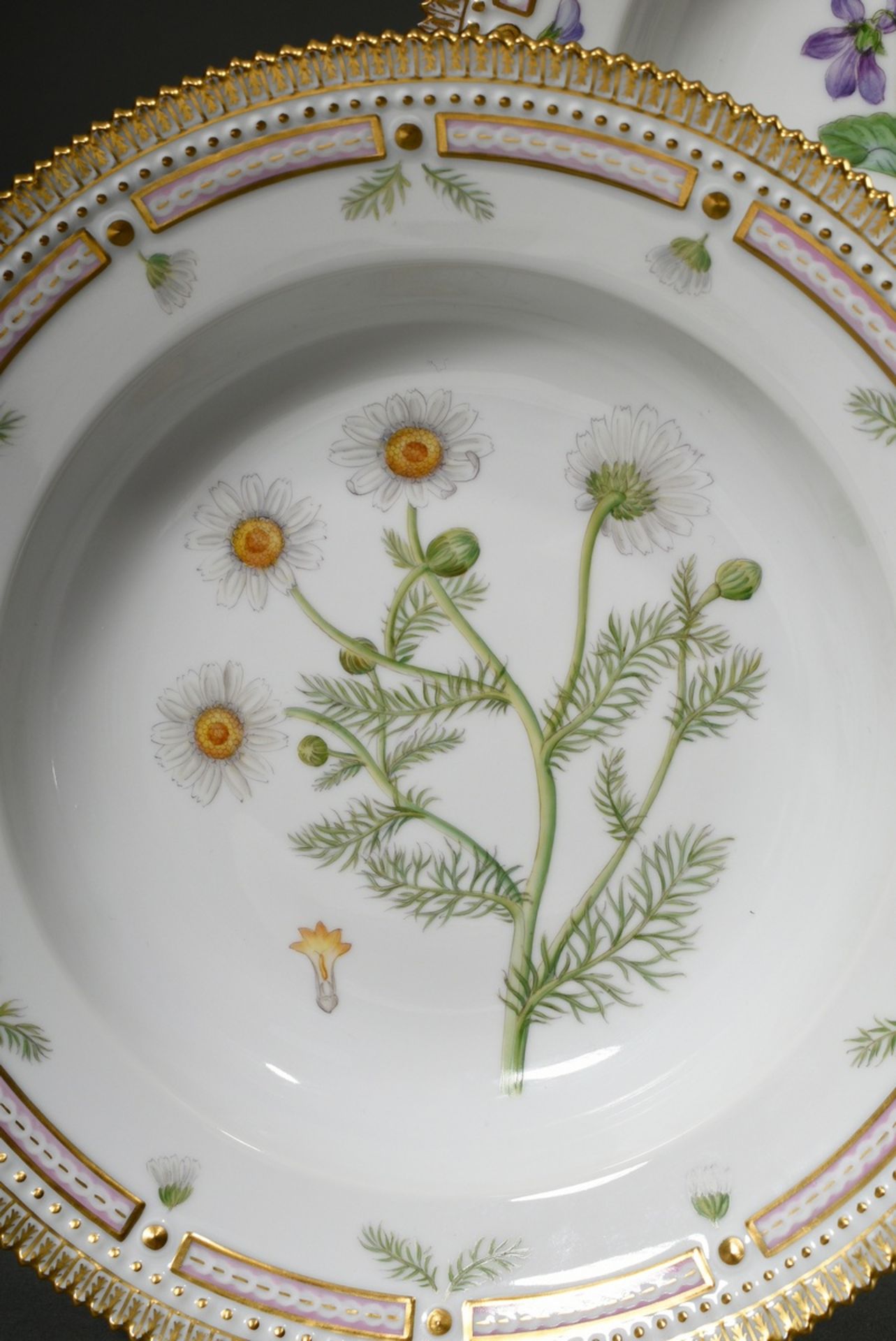 7 Royal Copenhagen "Flora Danica" plate with polychrome painting in the mirror and gold decorated s - Image 6 of 17