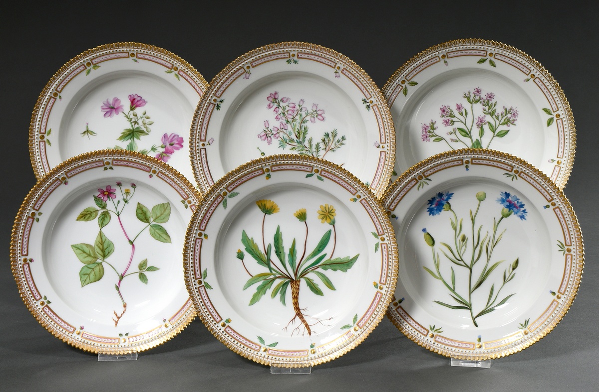 6 deep Royal Copenhagen "Flora Danica" plates with polychrome painting in the mirror and gold decor