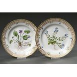 2 Royal Copenhagen "Flora Danica" Frühstücksteller mit polychromer Bemalung im Spiegel und goldstaf