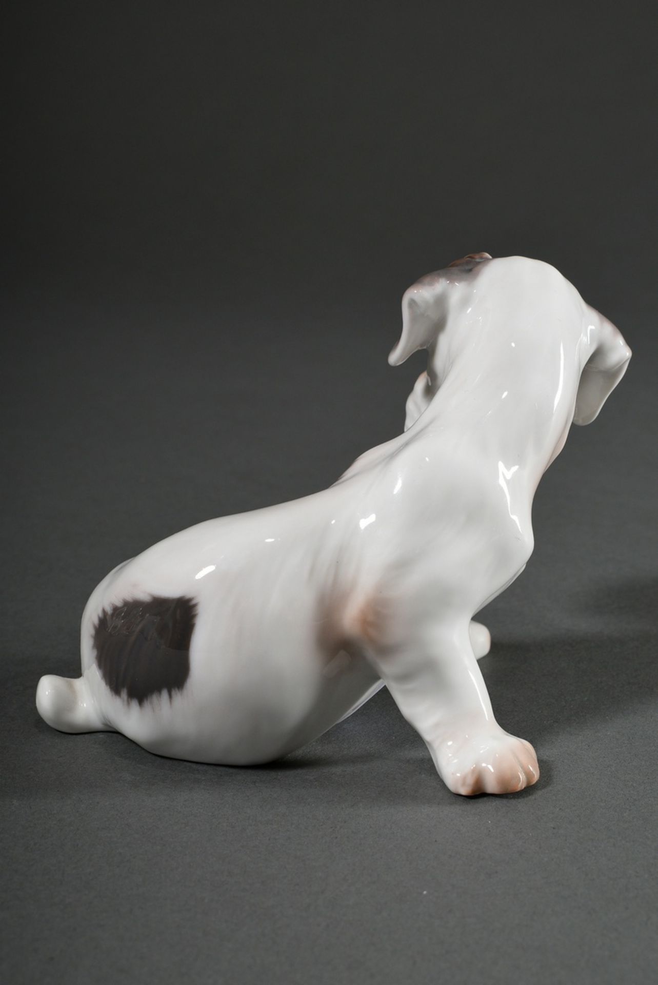 4 Various Bing & Gröndahl figures "St. Bernard, Pointer, Sealyham Terrier Puppies" with polychrome  - Image 12 of 13