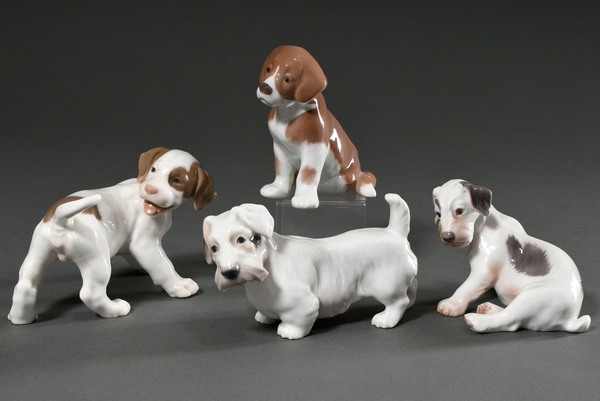 4 Various Bing & Gröndahl figures "St. Bernard, Pointer, Sealyham Terrier Puppies" with polychrome 