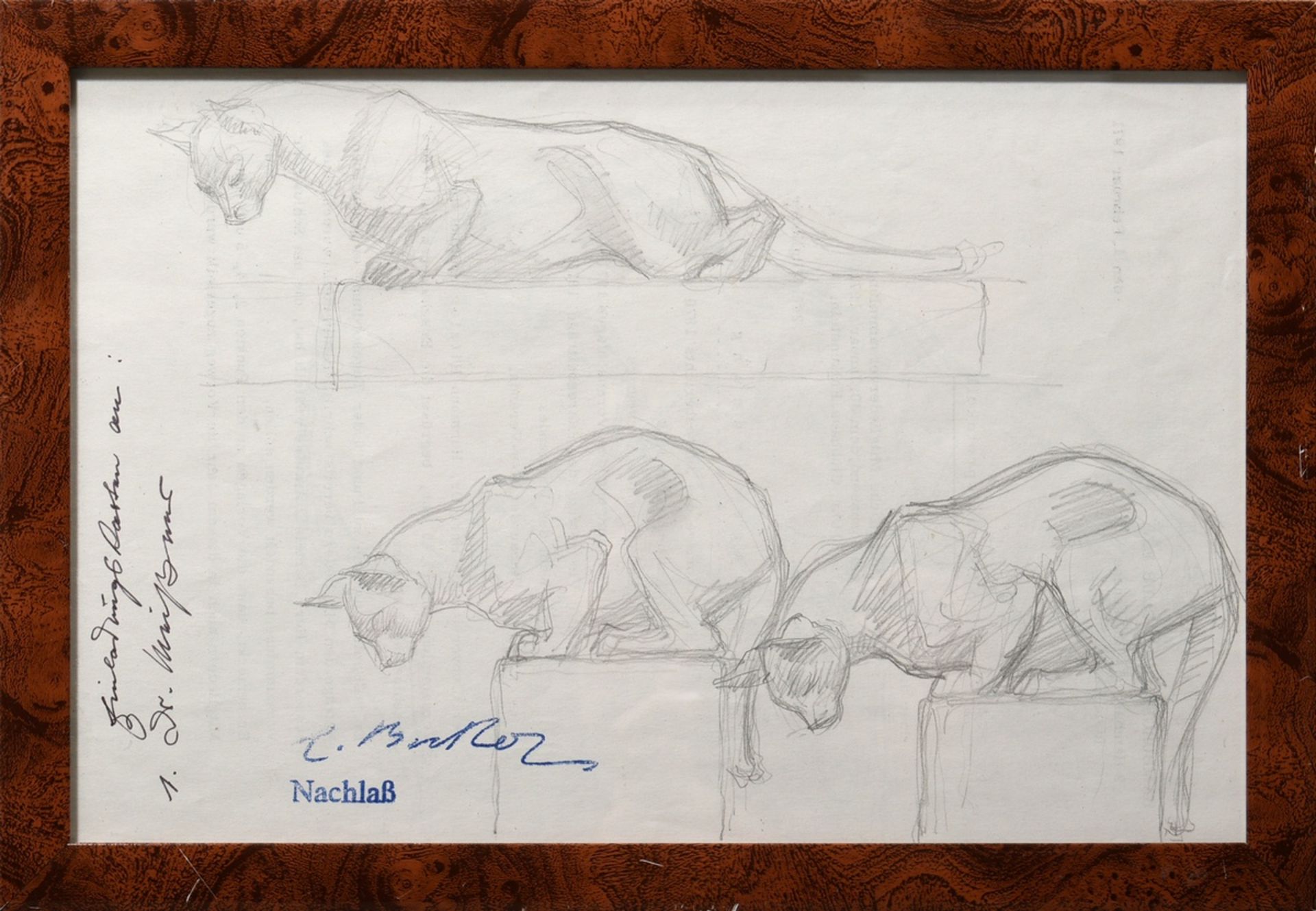 Becker, Claus Georg (1902-1983) "Cats", pencil study on letterhead of the Hamburger Golf-Club e.V.  - Image 2 of 3