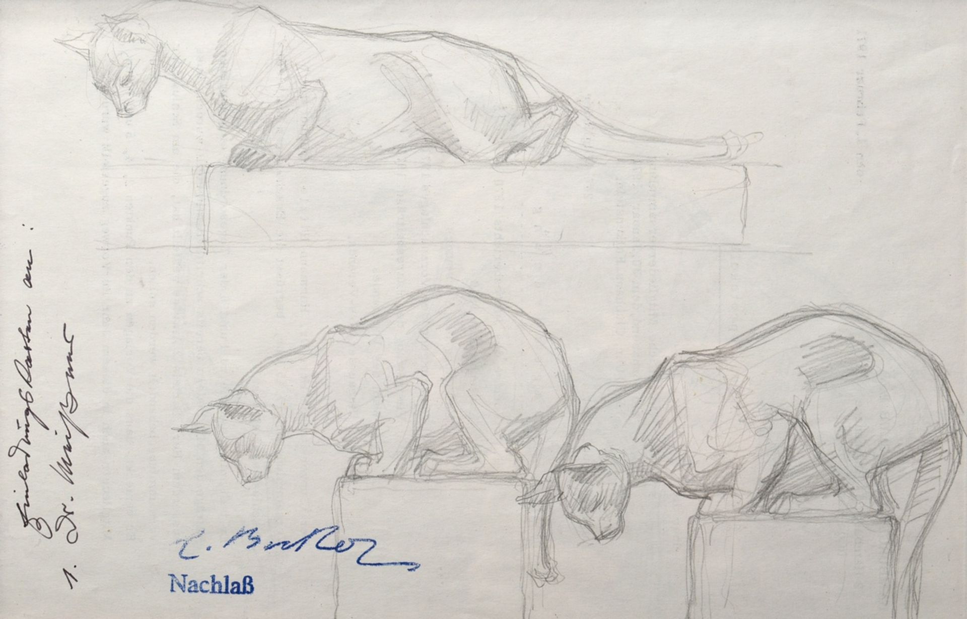 Becker, Claus Georg (1902-1983) "Cats", pencil study on letterhead of the Hamburger Golf-Club e.V. 