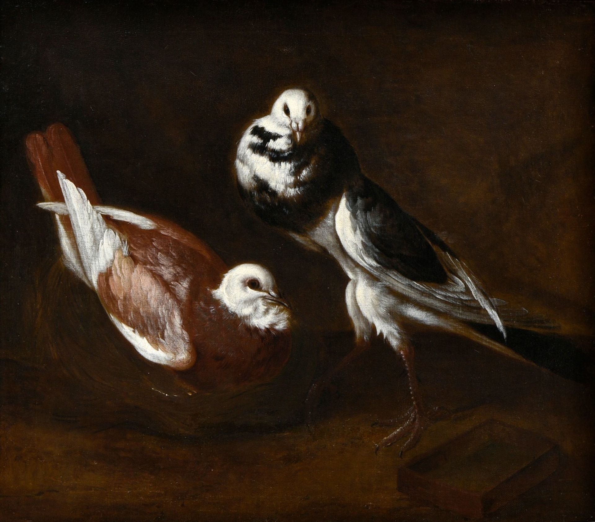 Cassana, Giovanni Agostino (1658-1720) attr. "Two doves", oil/canvas, 53,5x61cm (w.f. 73x80cm), res