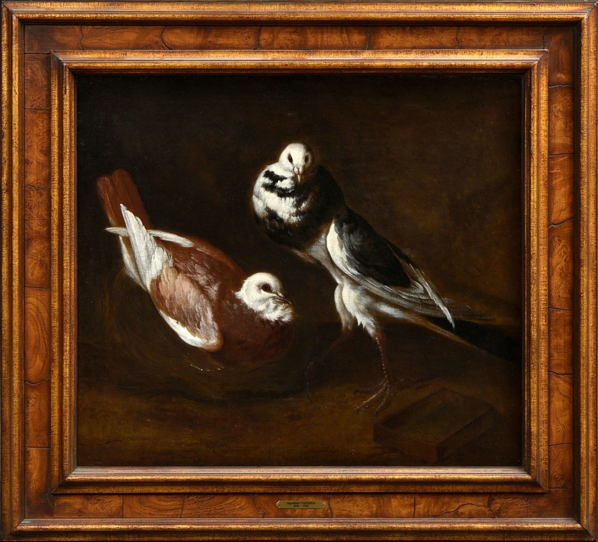 Cassana, Giovanni Agostino (1658-1720) attr. "Two doves", oil/canvas, 53,5x61cm (w.f. 73x80cm), res - Image 2 of 5