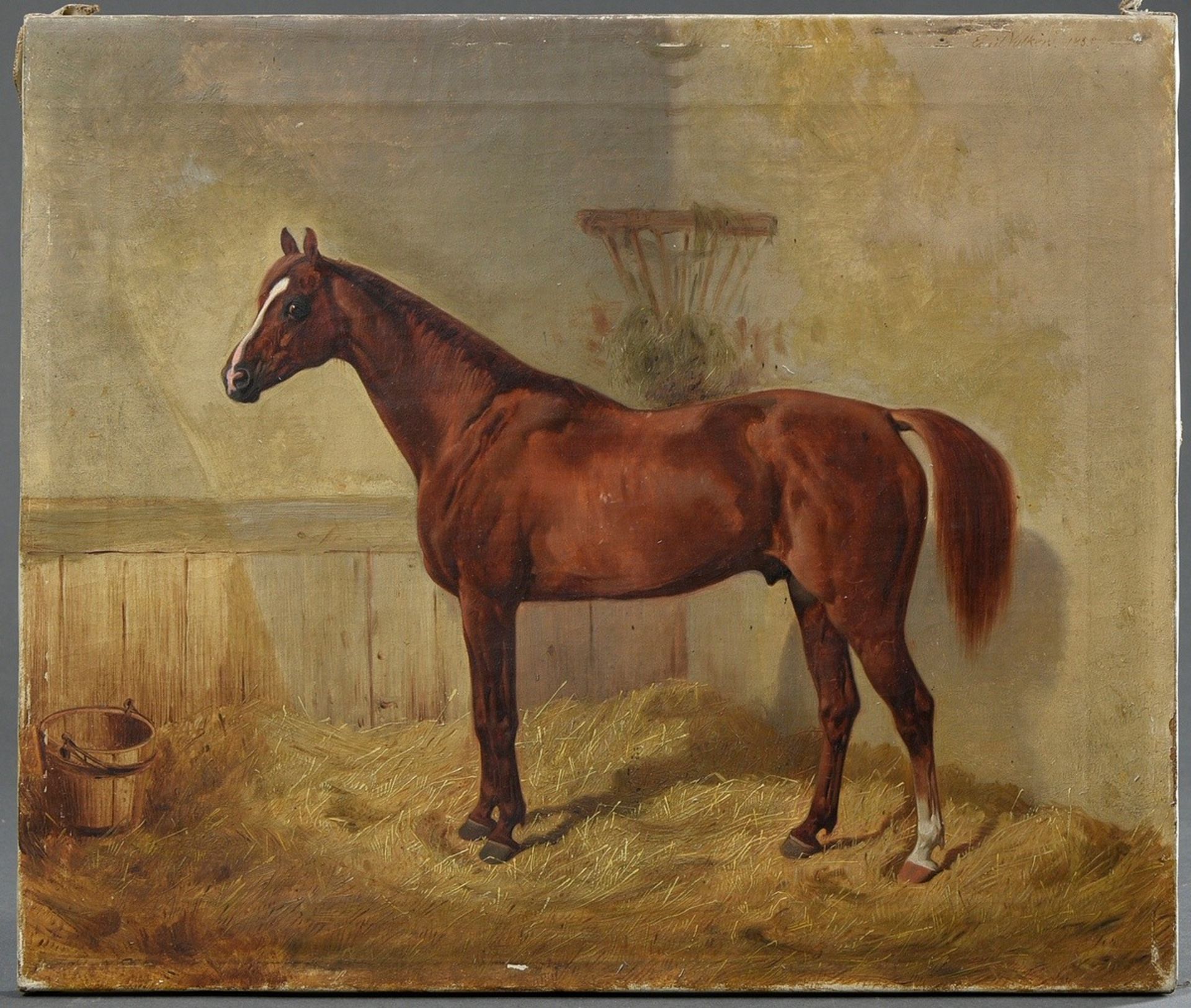 Volkers, Emil (1831-1905) "Ungesattelter brauner Araberhengst 'Abdelkadr' im Stall" 1855, Öl/Leinwa