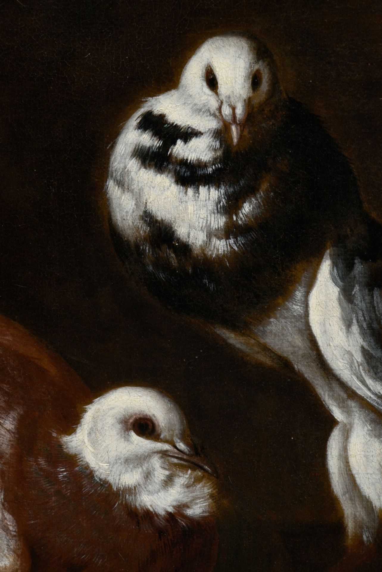 Cassana, Giovanni Agostino (1658-1720) attr. "Two doves", oil/canvas, 53,5x61cm (w.f. 73x80cm), res - Image 3 of 5