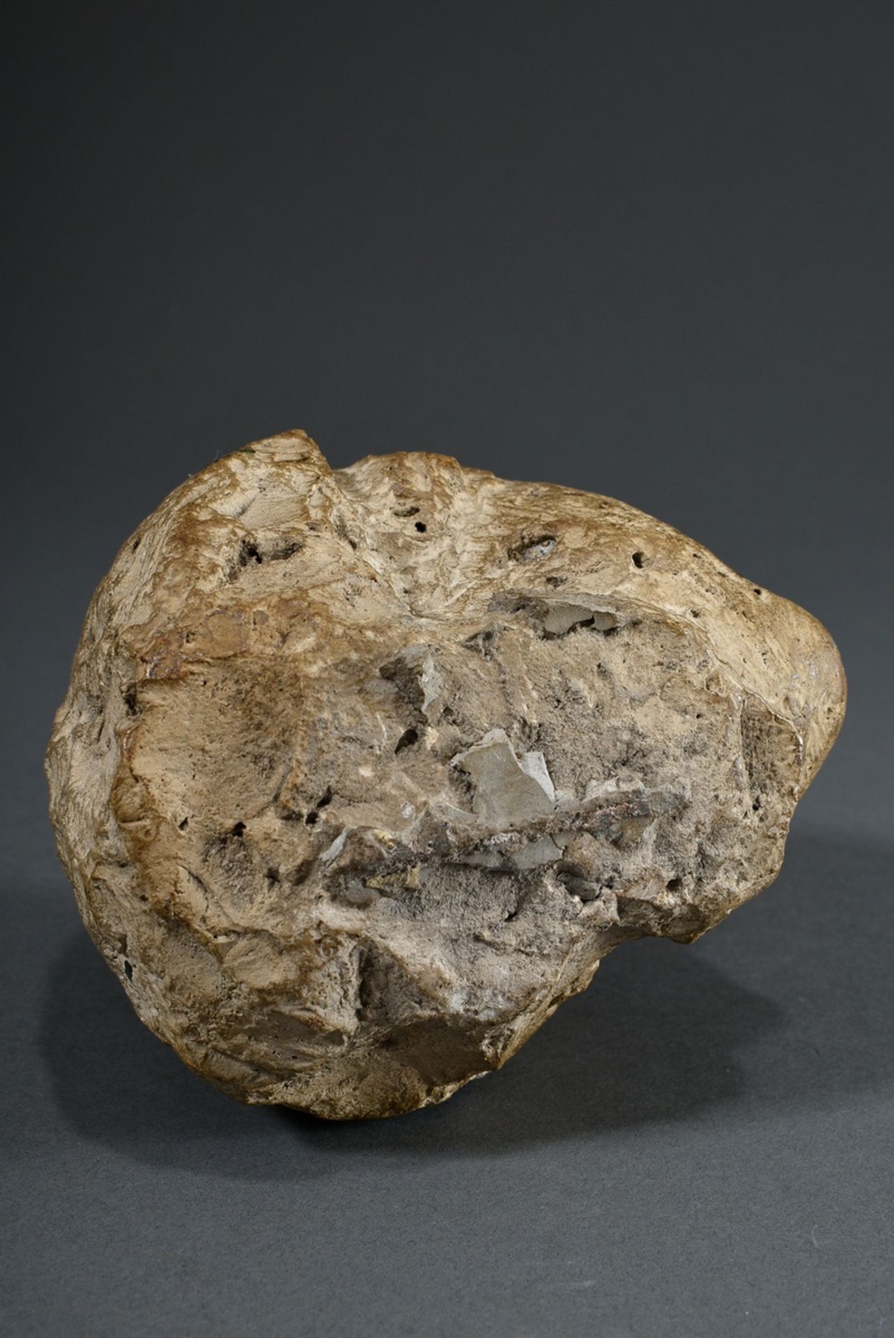 Limestone fragment "Head of a man with wig", reworked on the back, probably from half relief, h. 14 - Image 6 of 6