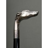 Gehstock mit Silber 925 Griff "Windhund", Gr. 10 (H. 93cm)