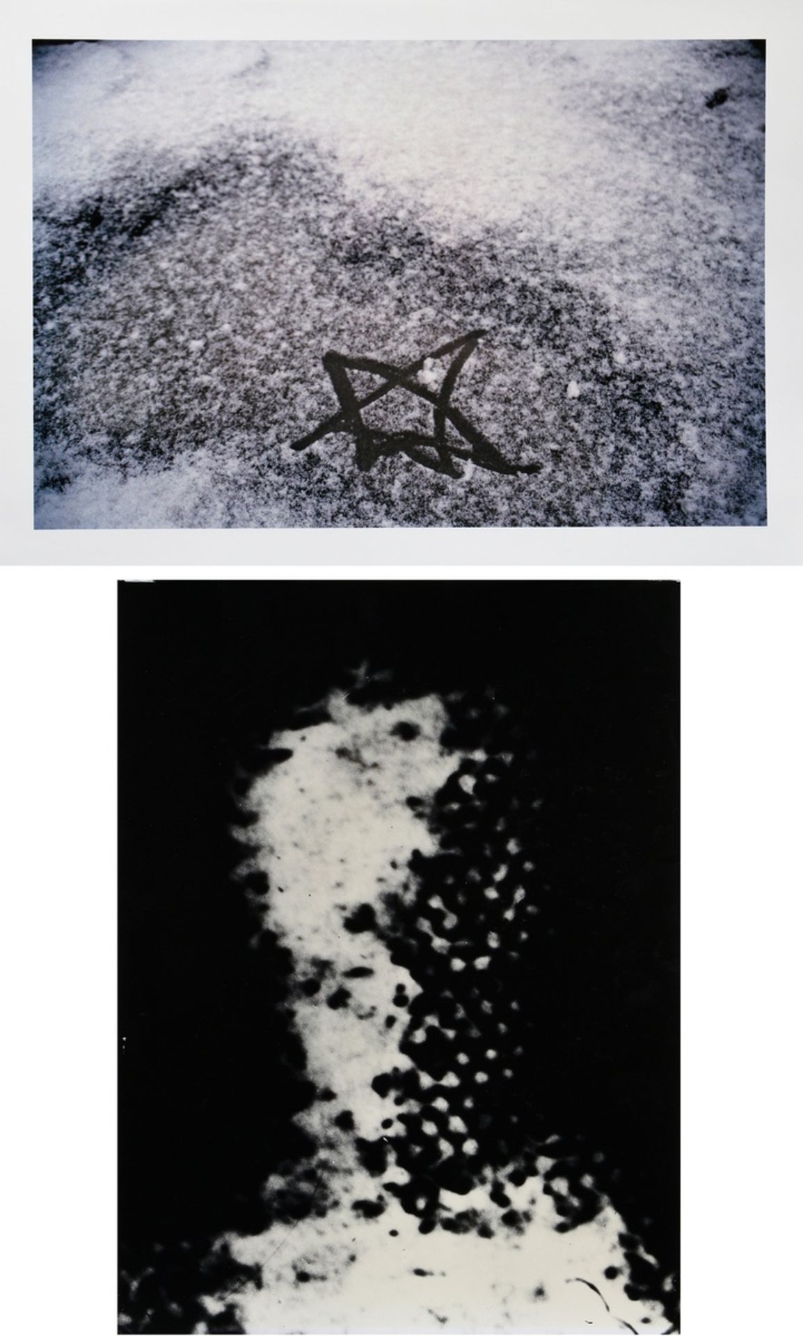 2 Various photographs: Klein, Astrid (*1951) "Blatt 2" aus: Decision Maker, 1952/2015 and Dahn, Wal