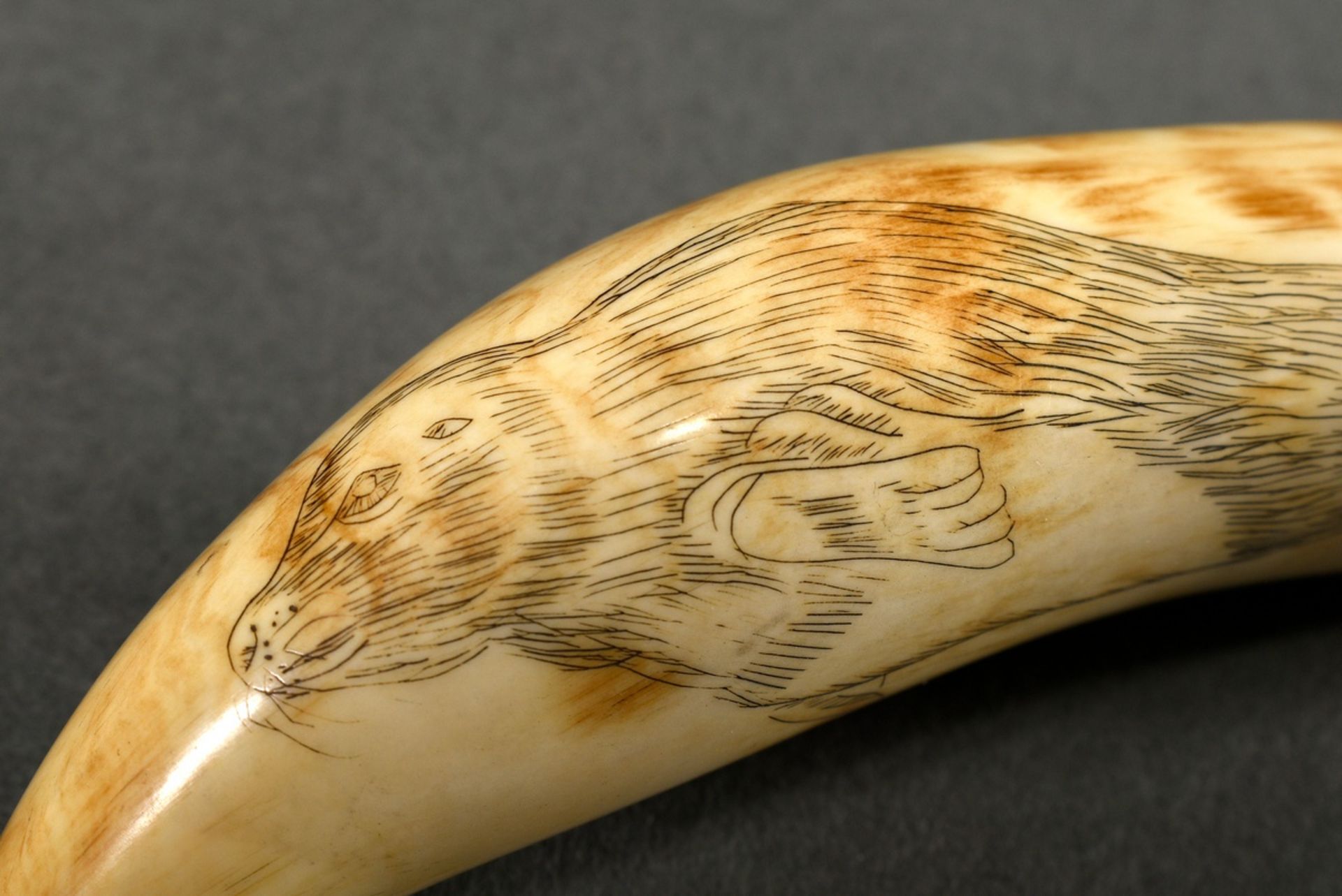 Scrimshaw "Seal and Blue Whale", carved whale tooth with blackened incised decoration, 19th c., l.  - Image 3 of 5