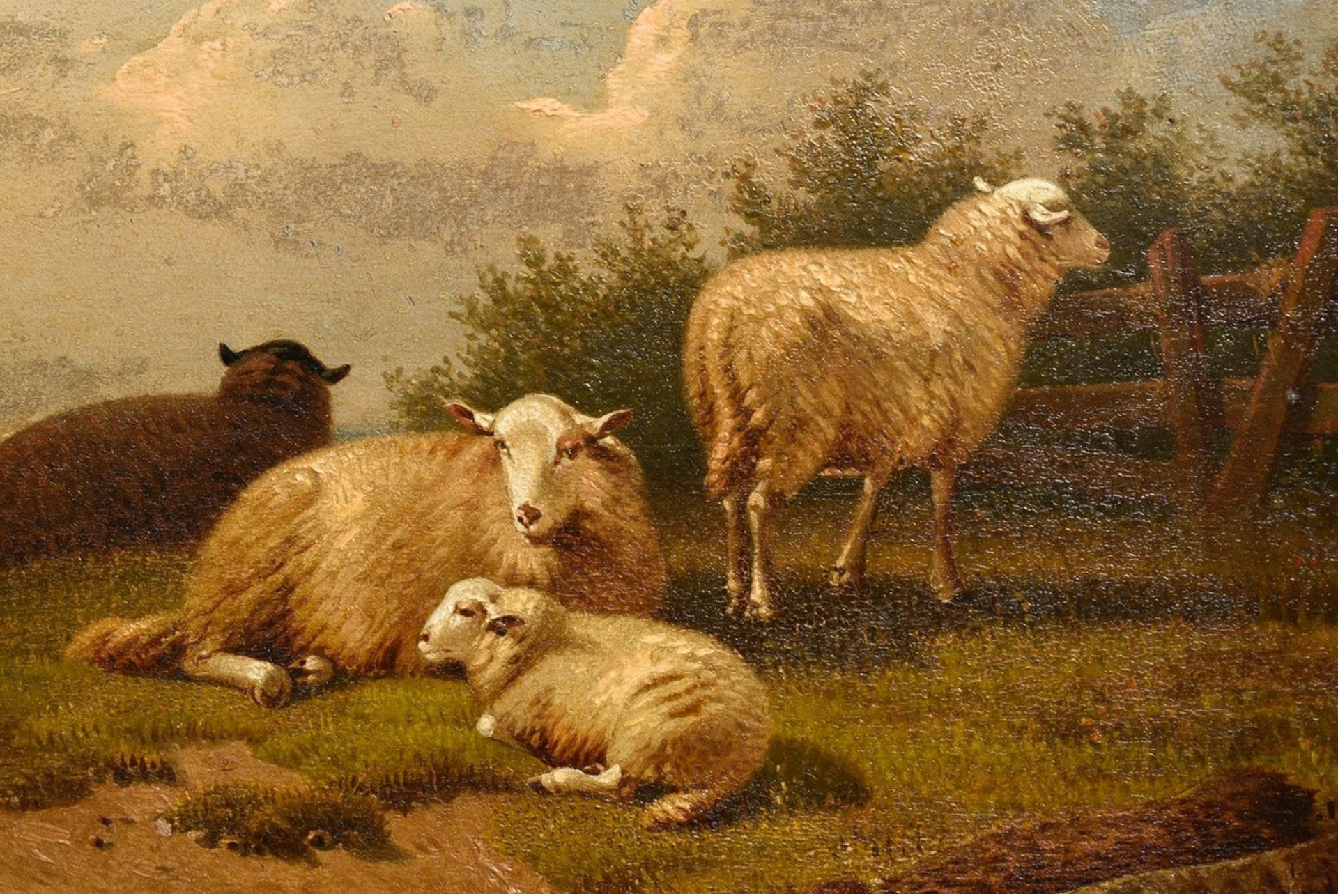 Dieghem, Joseph van (1843-1885) "Resting Sheep", oil/wood, magnificent frame (small defects), 23x16 - Image 3 of 5