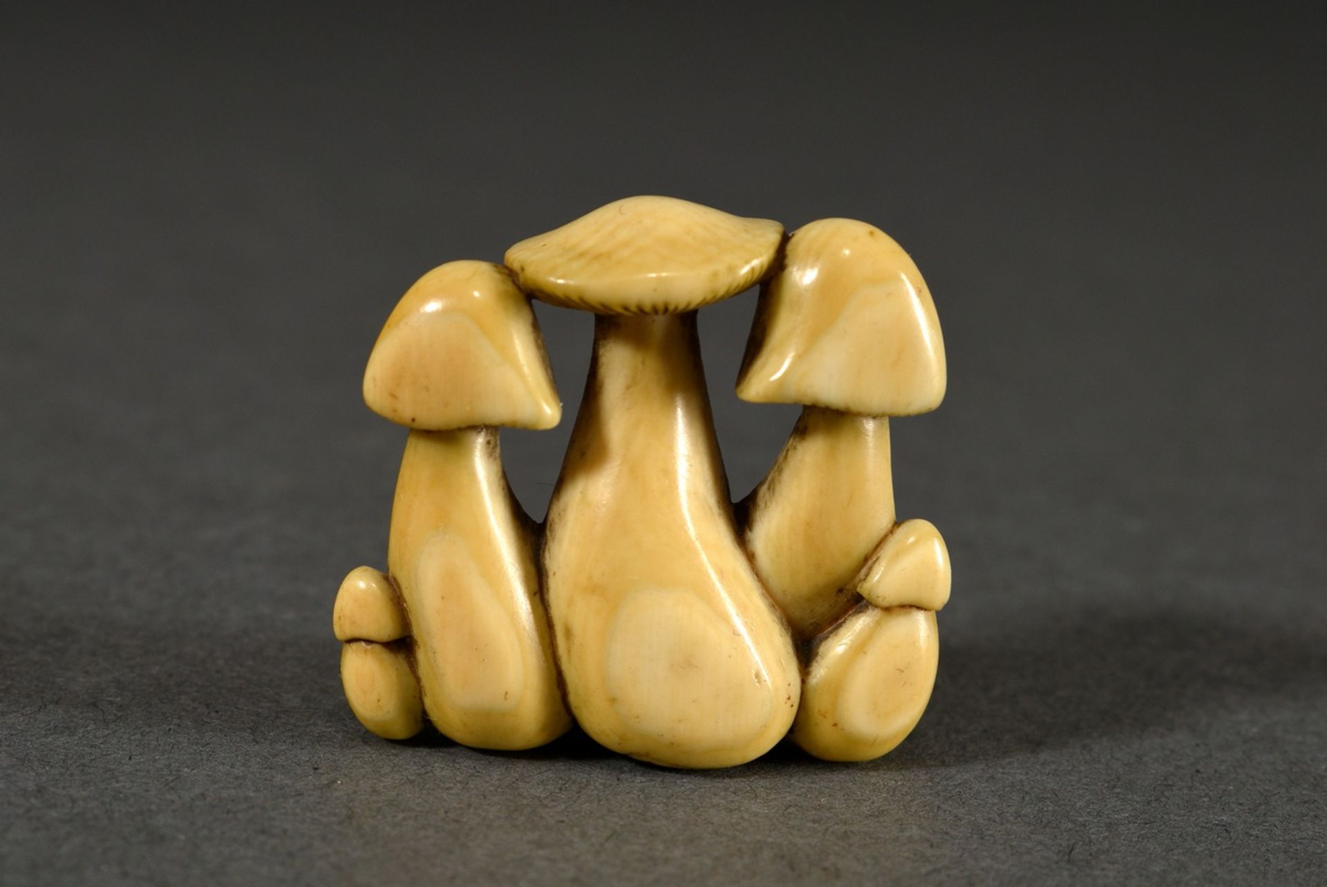 Ivory netsuke "Mushrooms", sign. 吉忠 Yoshitada, Japan 19th c., Himotoshi with traces of wear, beauti