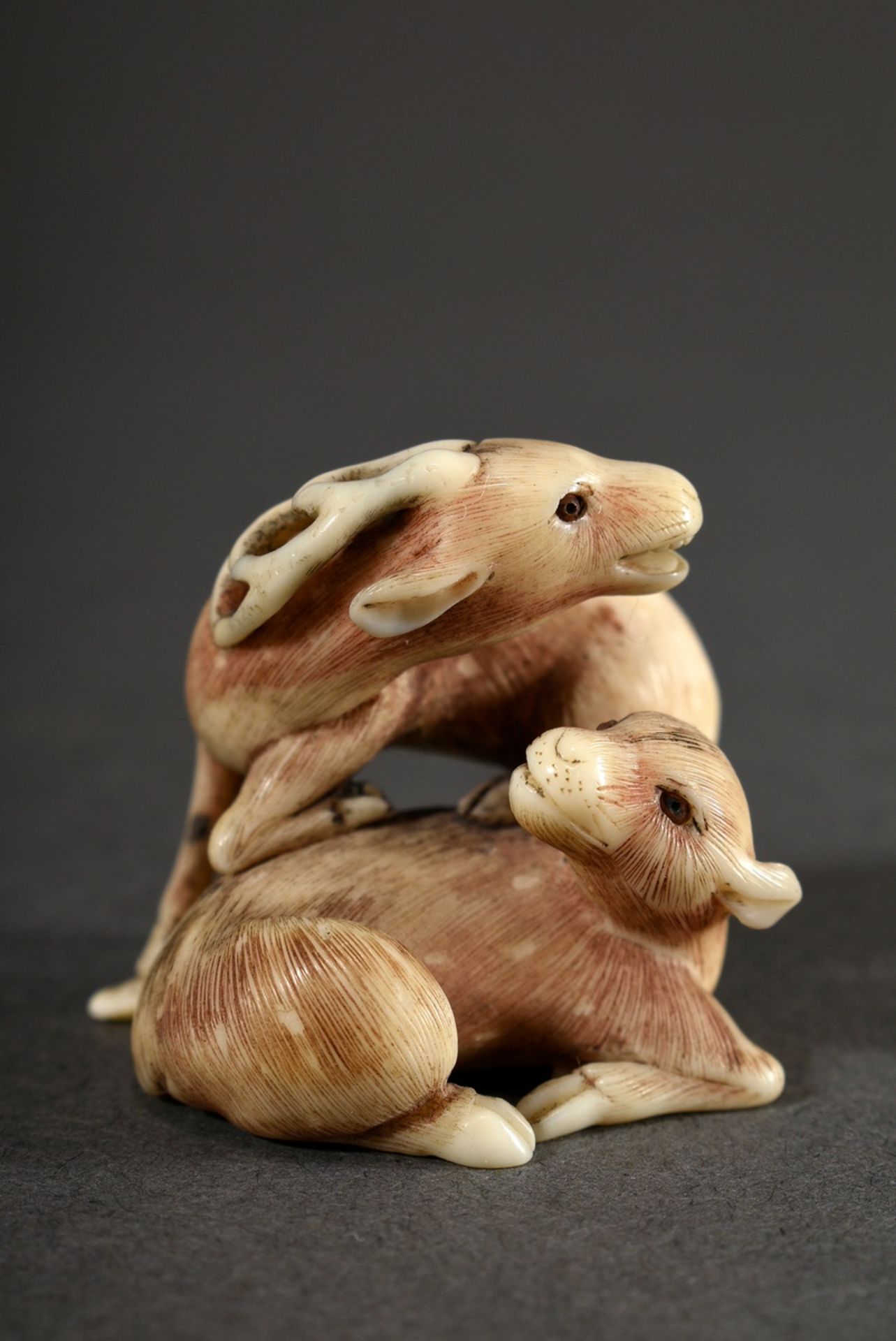 Ivory netsuke "Roaring deer with hind on maple foliage" with finely engraved and partially dyed fur - Image 2 of 7