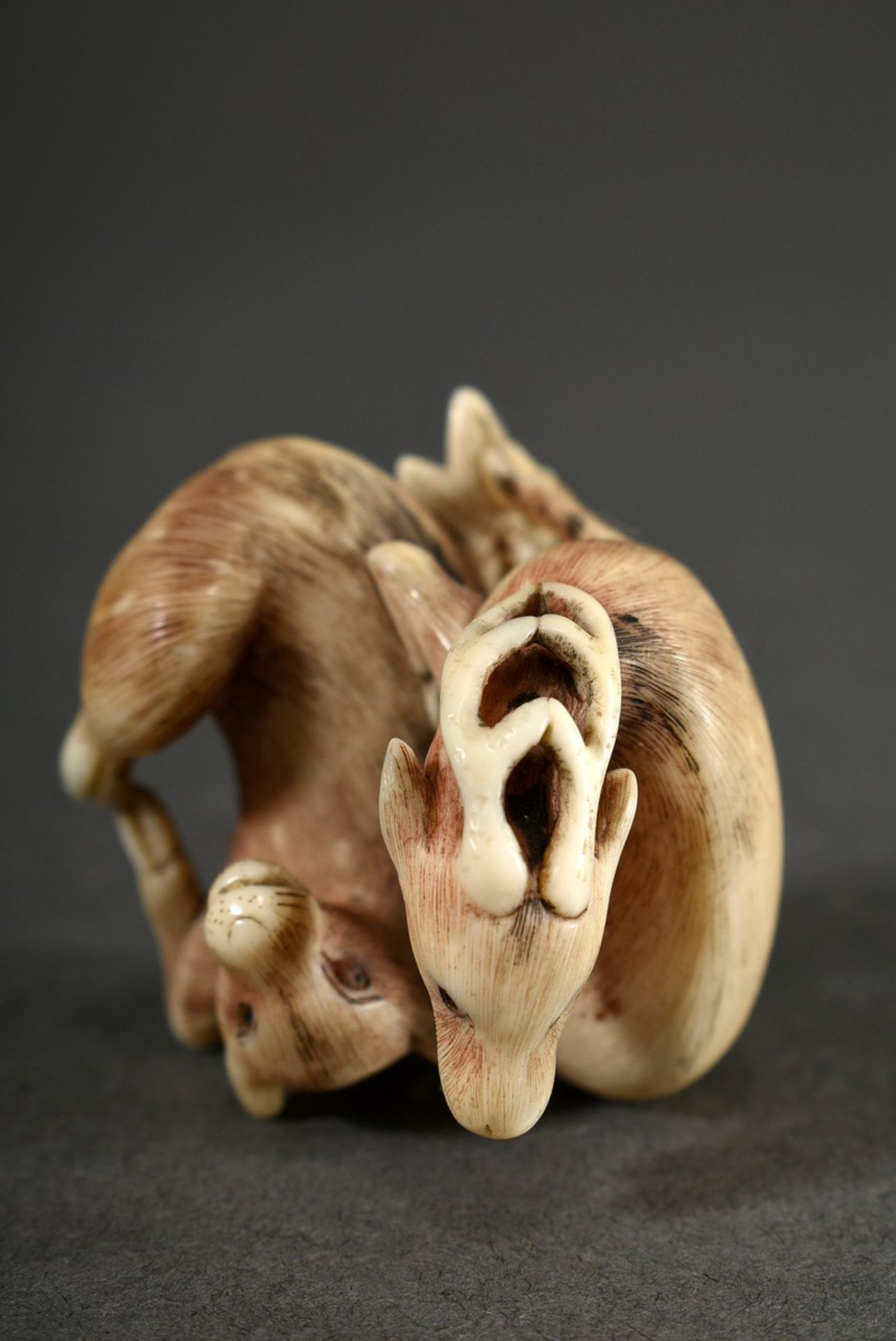 Ivory netsuke "Roaring deer with hind on maple foliage" with finely engraved and partially dyed fur - Image 6 of 7