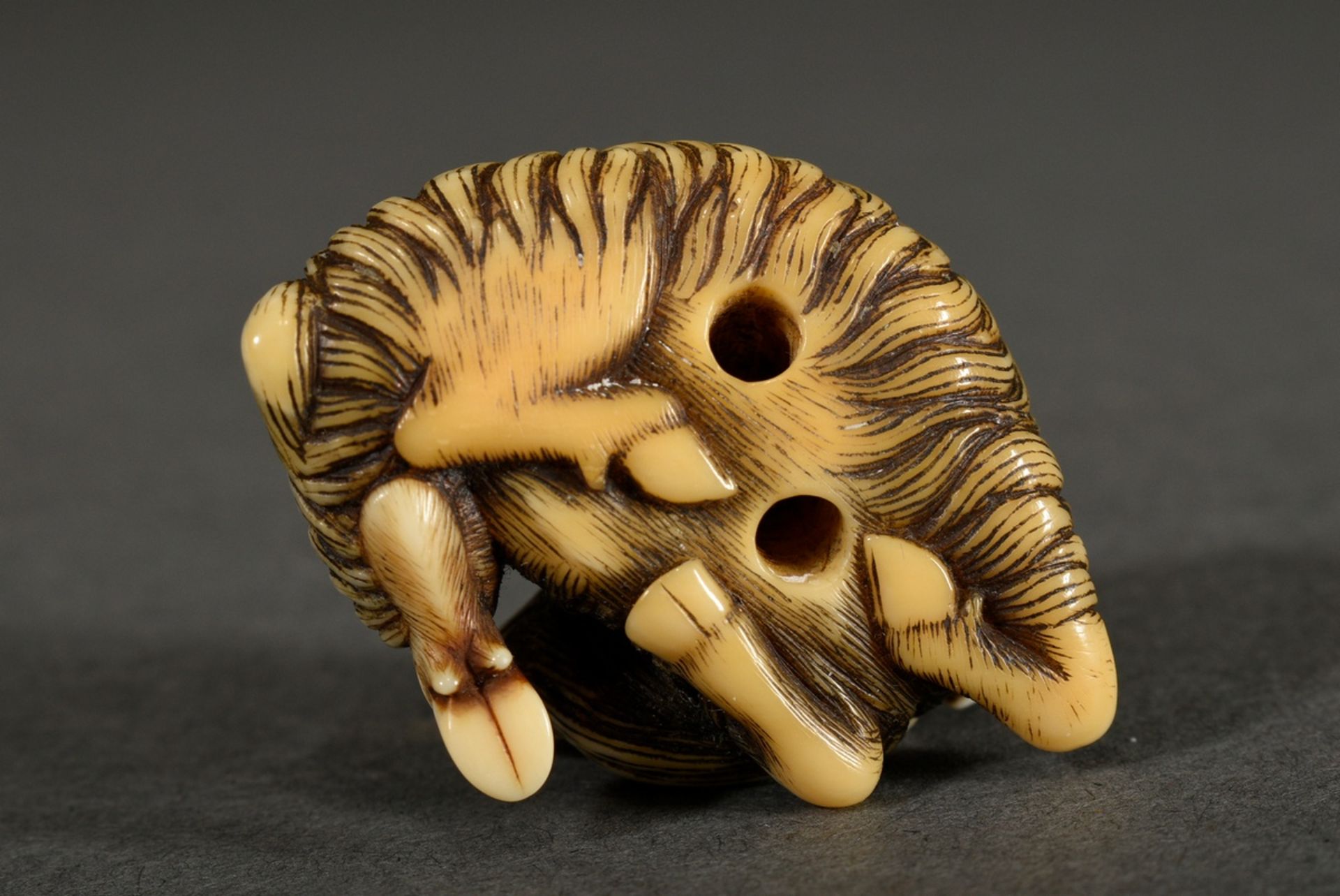 Ivory netsuke "Rolled-in mountain goat" with inlaid eyes of black horn and engraved fur, golden pat - Image 5 of 6