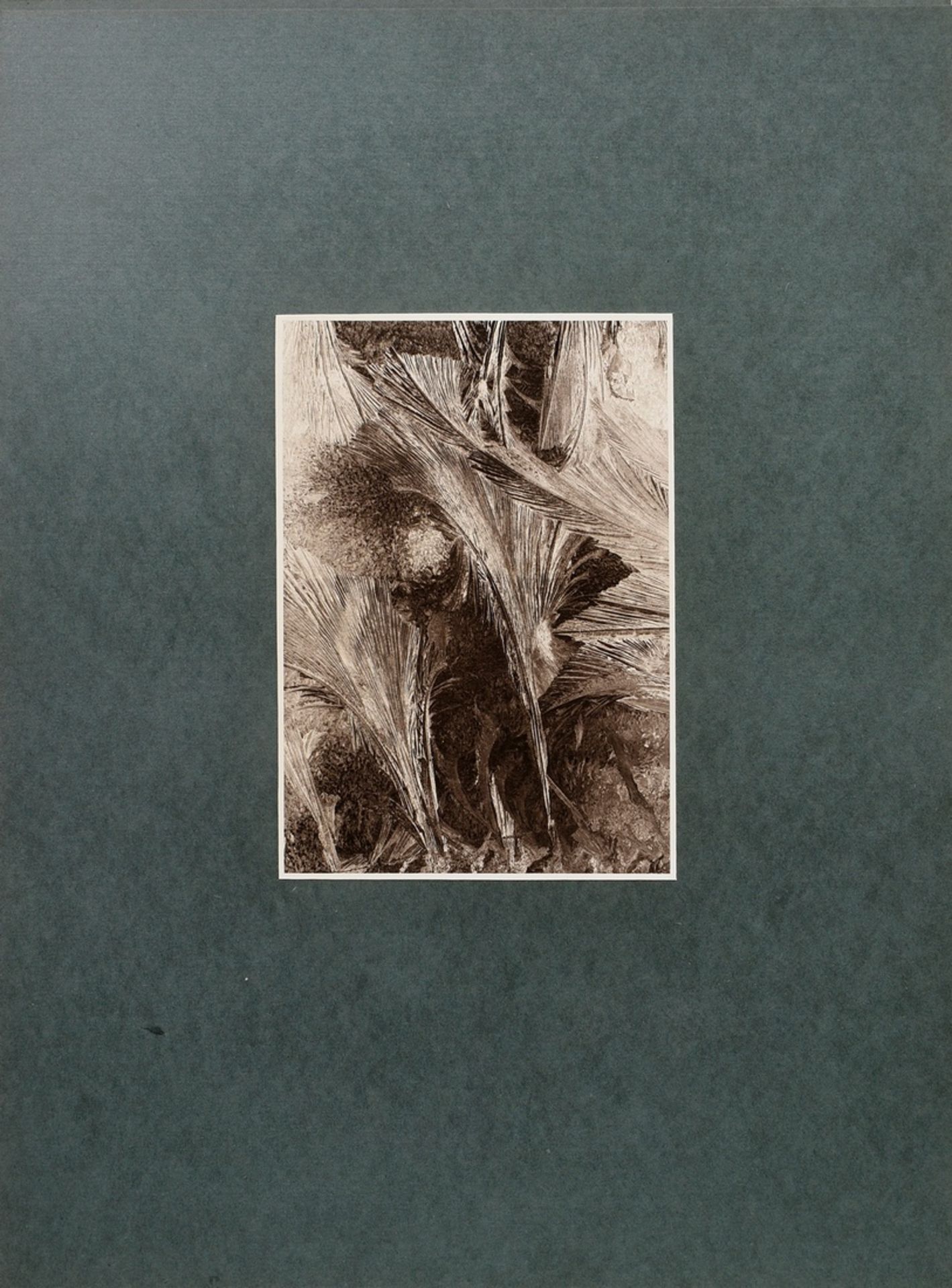 Koch, Fred (1904-1947) "Eisblumen am Fenster", Fotografie auf Karton montiert, verso bez. und geste - Bild 2 aus 3