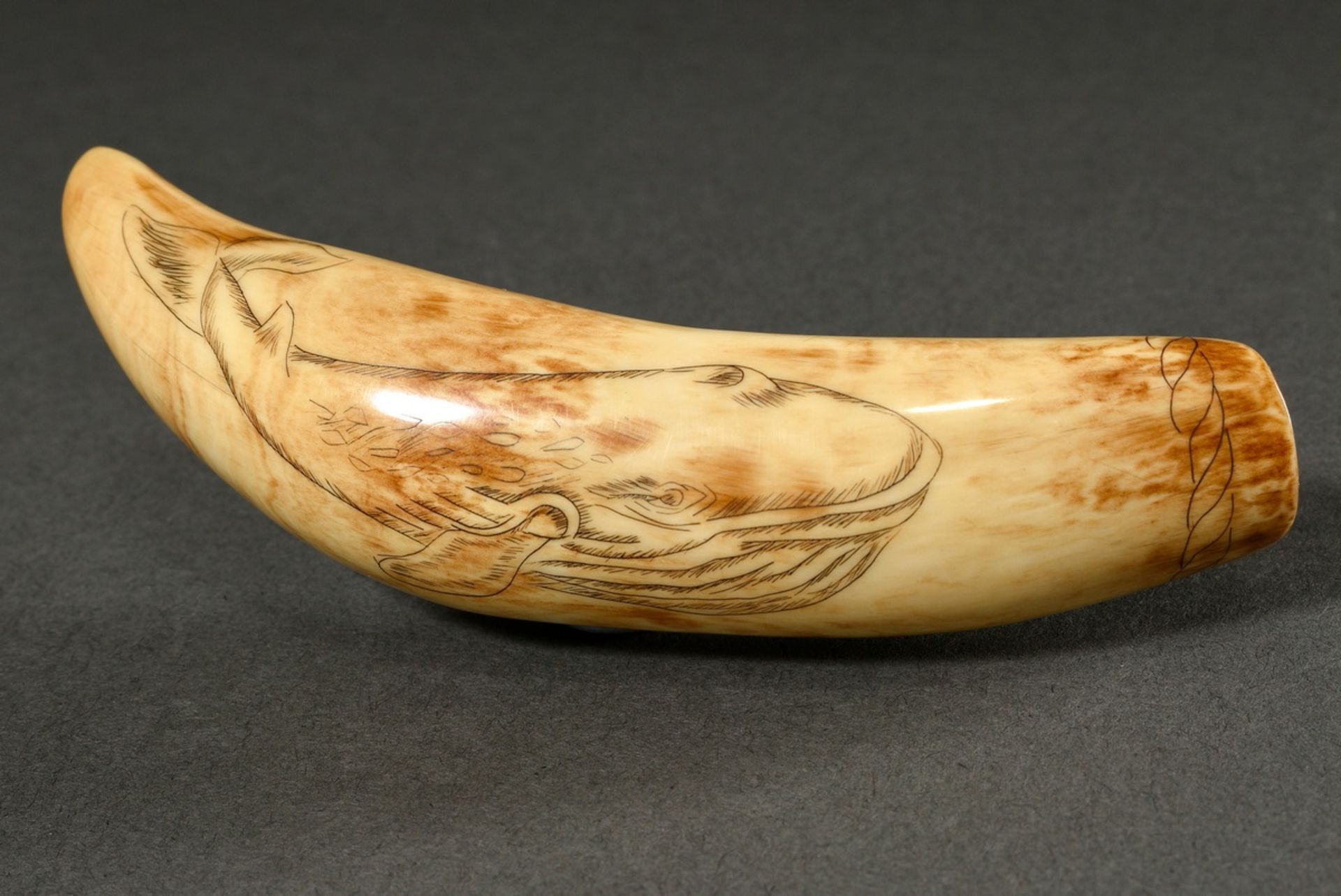 Scrimshaw "Seal and Blue Whale", carved whale tooth with blackened incised decoration, 19th c., l.  - Image 5 of 5