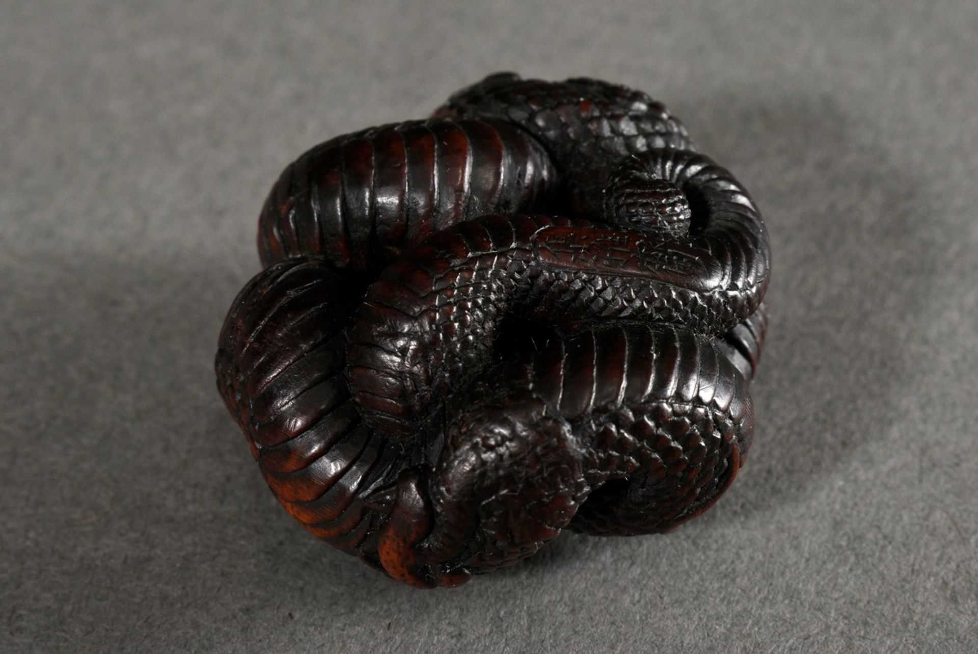 Boxwood netsuke "round laid dragon" in Manju form, inlaid eye of light horn, sign. Toyokazu, Ø 3,5c - Image 4 of 5