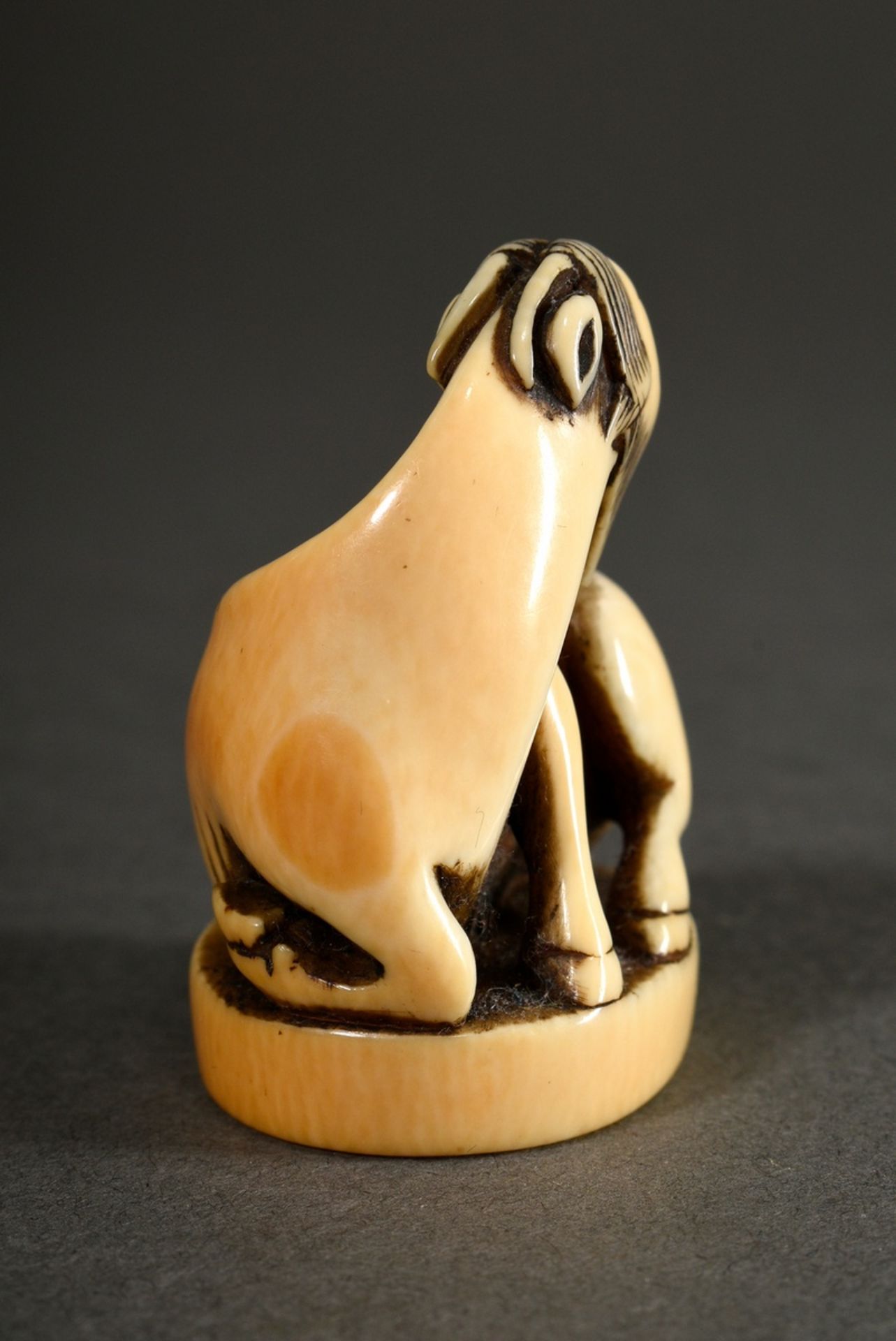 Ivory netsuke "Goat on oval base", Japan, 18th/19th c., beautiful patina, h. 4,3cm, provenance: Nor - Image 3 of 6