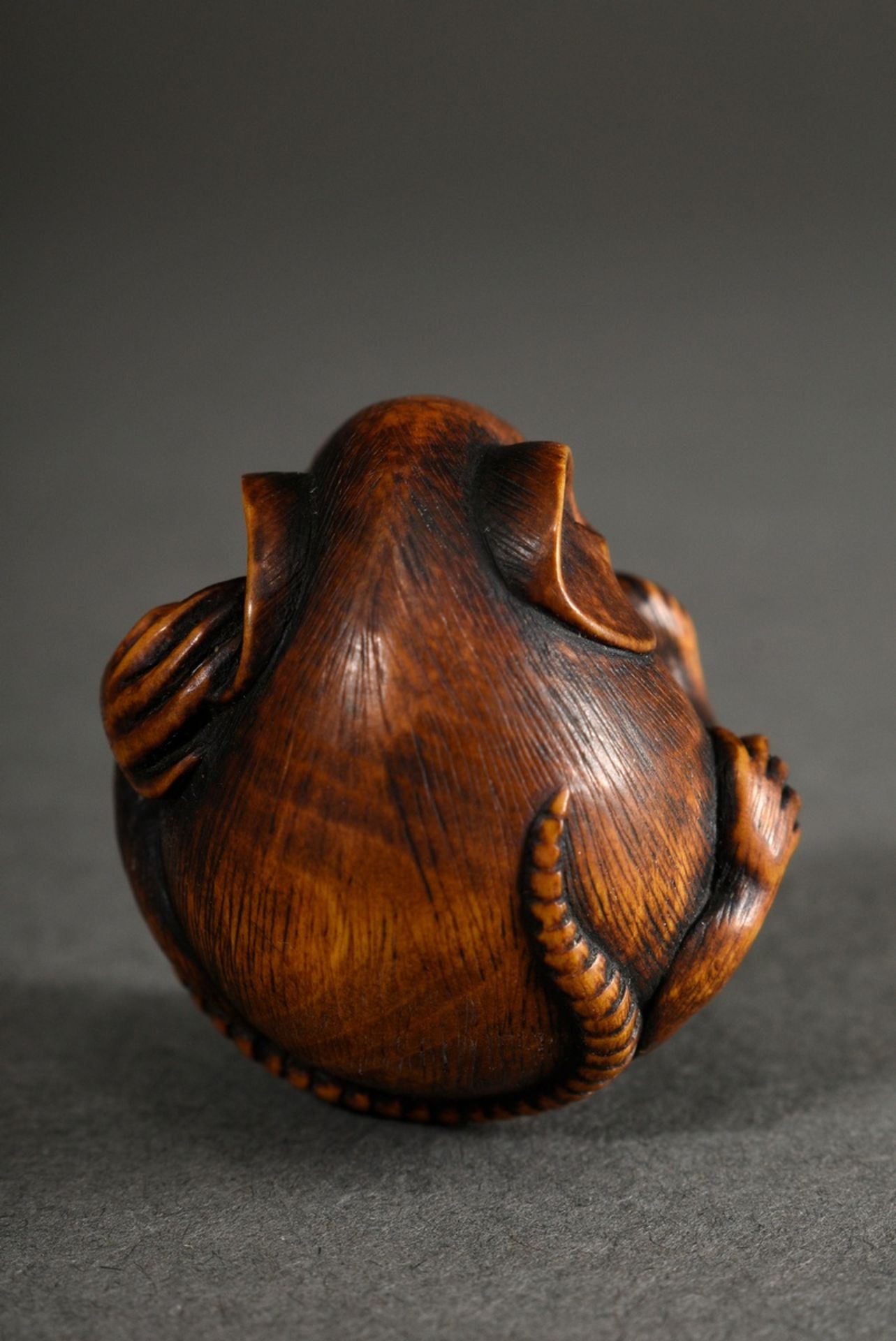 Boxwood netsuke "spherical rat" with eyes inlaid in horn, natural himotoshi through the right paw,  - Image 3 of 6