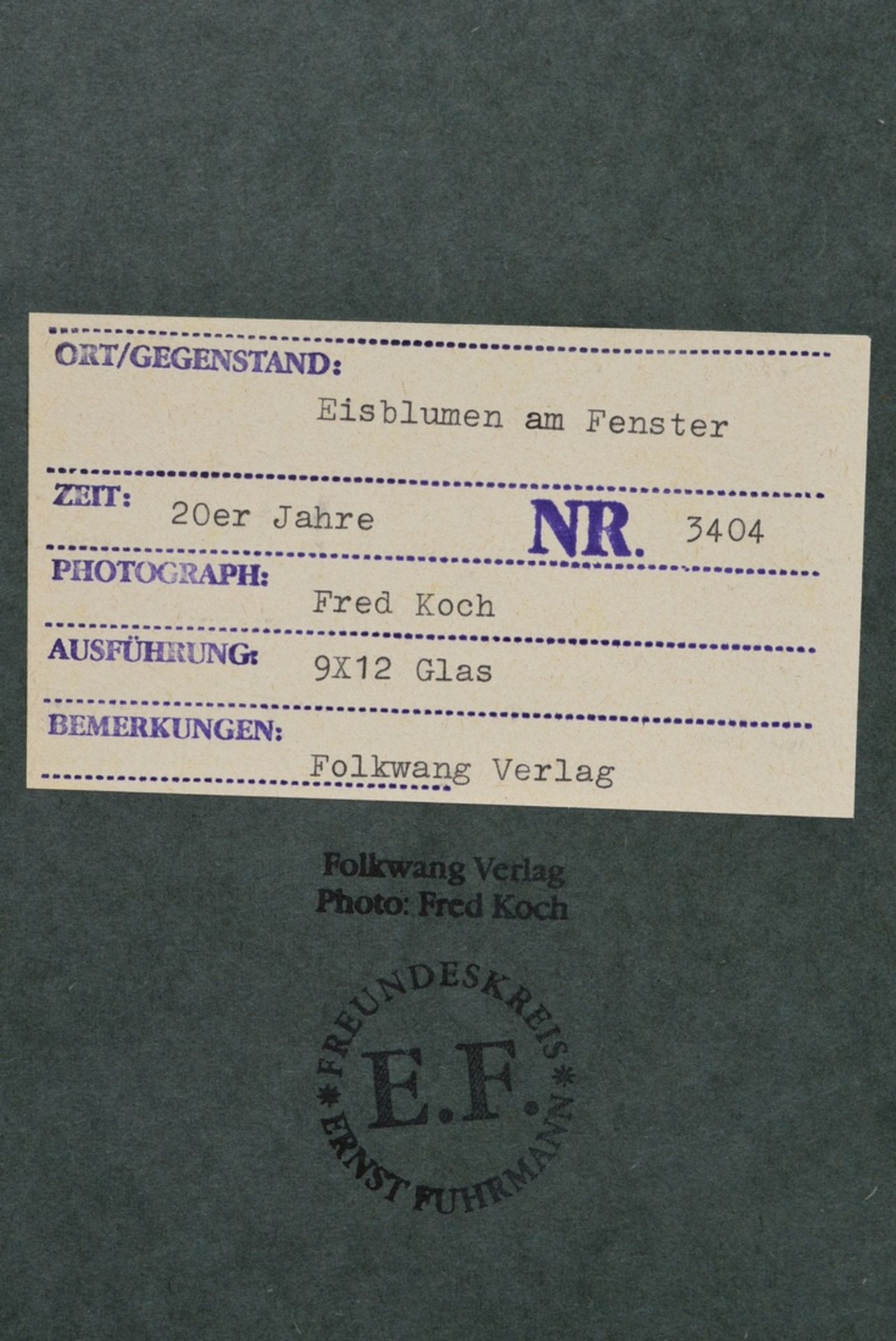 Koch, Fred (1904-1947) "Eisblumen am Fenster", Fotografie auf Karton montiert, verso bez. und geste - Bild 3 aus 3