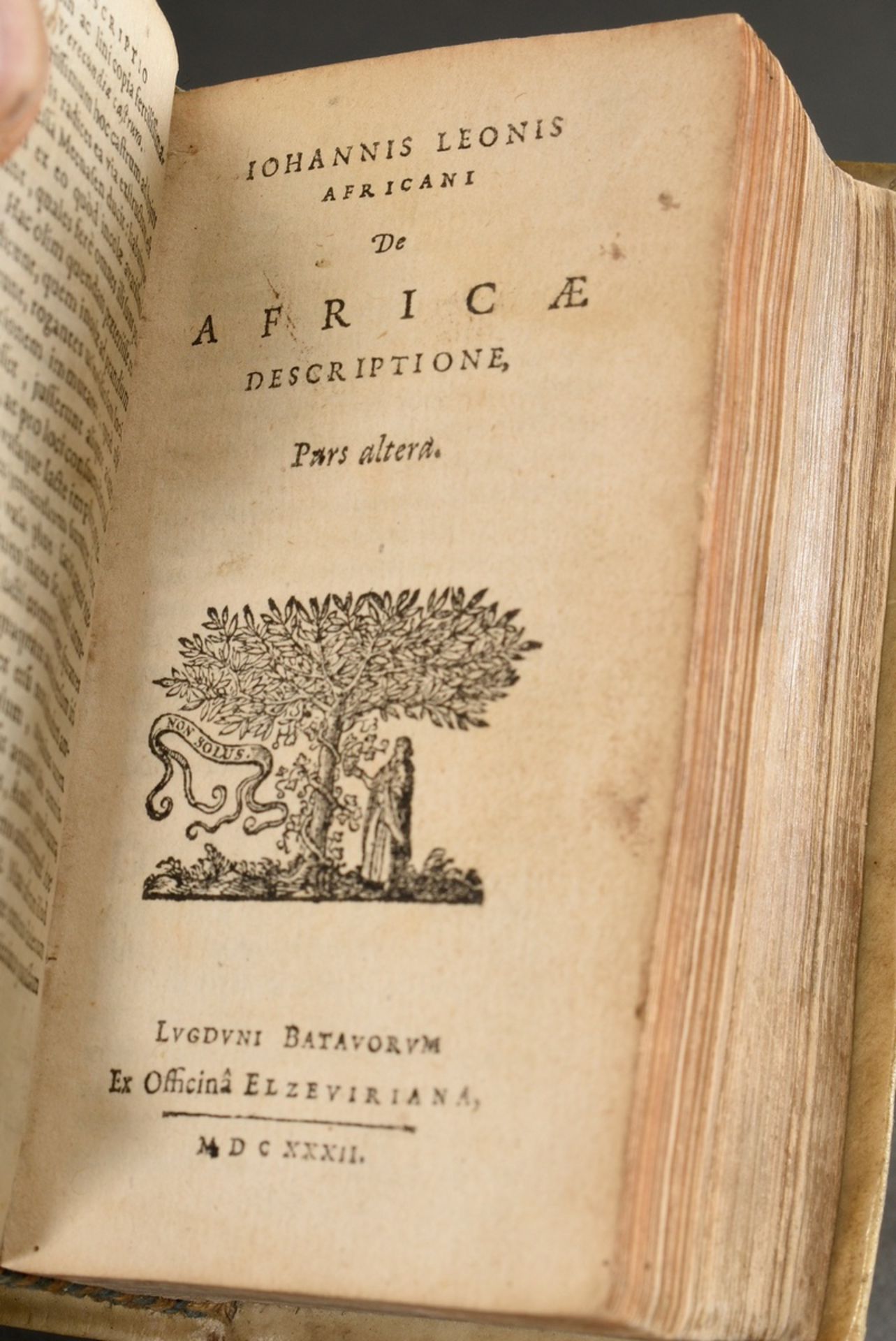 2 Various books: Ioannis Leonis Africani "Africae descriptio IX lib. absoluta" and "Publii Terentii - Image 6 of 10