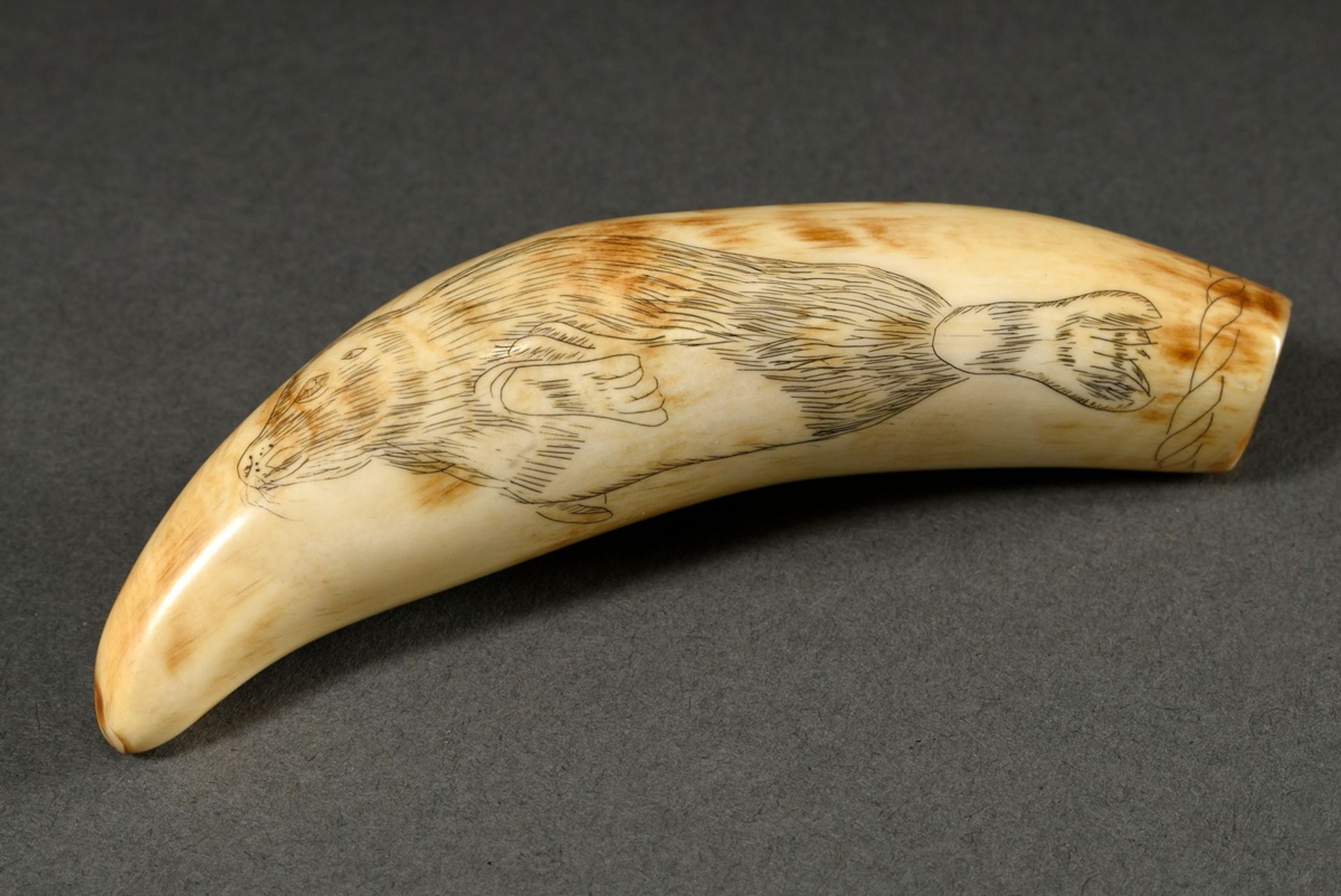 Scrimshaw "Seal and Blue Whale", carved whale tooth with blackened incised decoration, 19th c., l. 