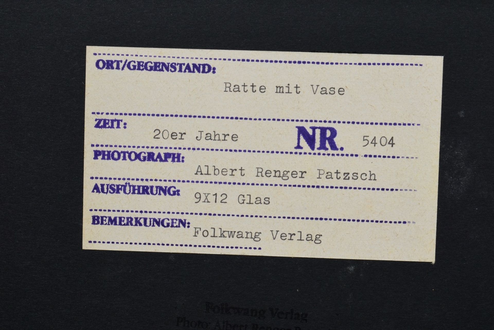 Renger-Patzsch, Albert (1897-1966) "Ratte mit Vase", Fotografie auf Karton montiert, verso bez. und - Bild 3 aus 3