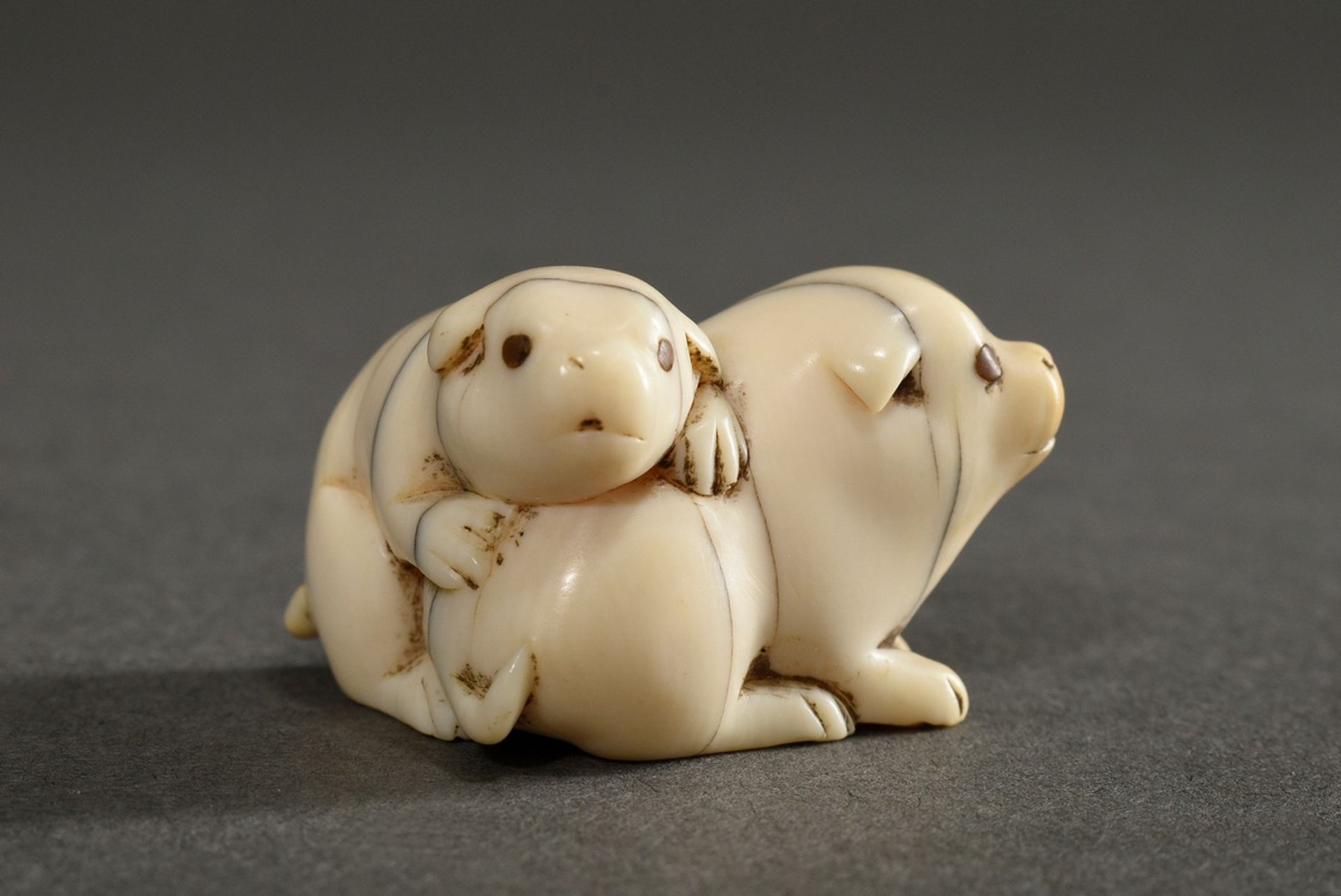 Ivory netsuke "Two puppies" with inlaid horn eyes (1 missing), Japan circa 1900, h. 2cm, cracks, ni - Image 2 of 6