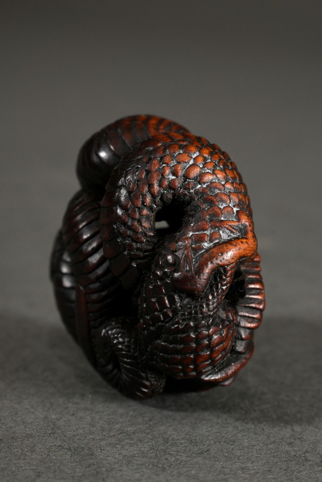 Boxwood netsuke "round laid dragon" in Manju form, inlaid eye of light horn, sign. Toyokazu, Ø 3,5c - Image 3 of 5