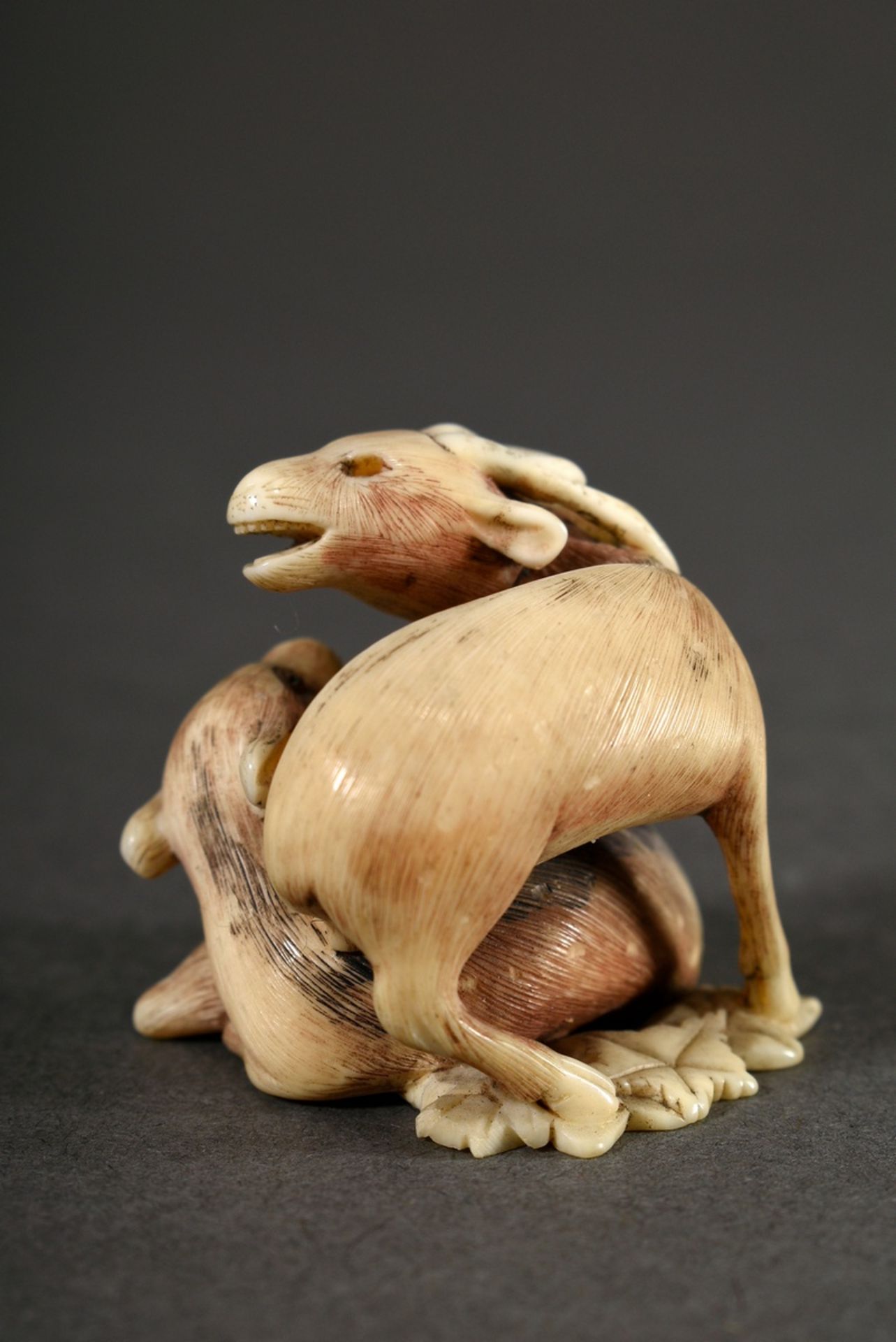 Ivory netsuke "Roaring deer with hind on maple foliage" with finely engraved and partially dyed fur - Image 3 of 7