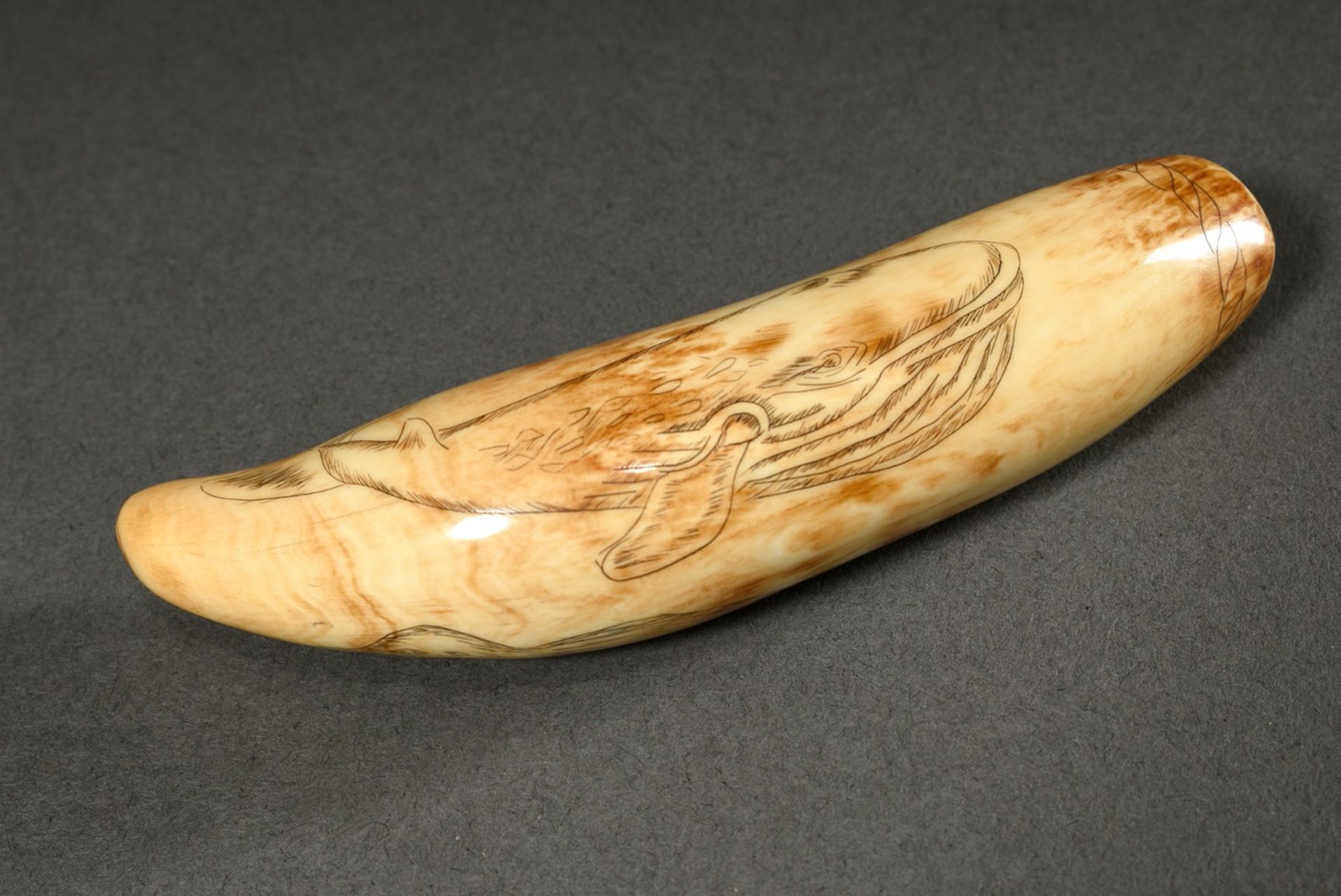 Scrimshaw "Seal and Blue Whale", carved whale tooth with blackened incised decoration, 19th c., l.  - Image 2 of 5