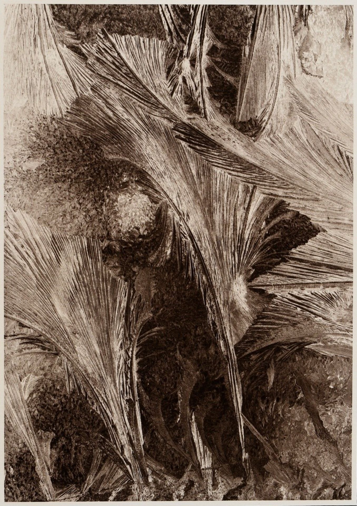 Koch, Fred (1904-1947) "Eisblumen am Fenster", Fotografie auf Karton montiert, verso bez. und geste