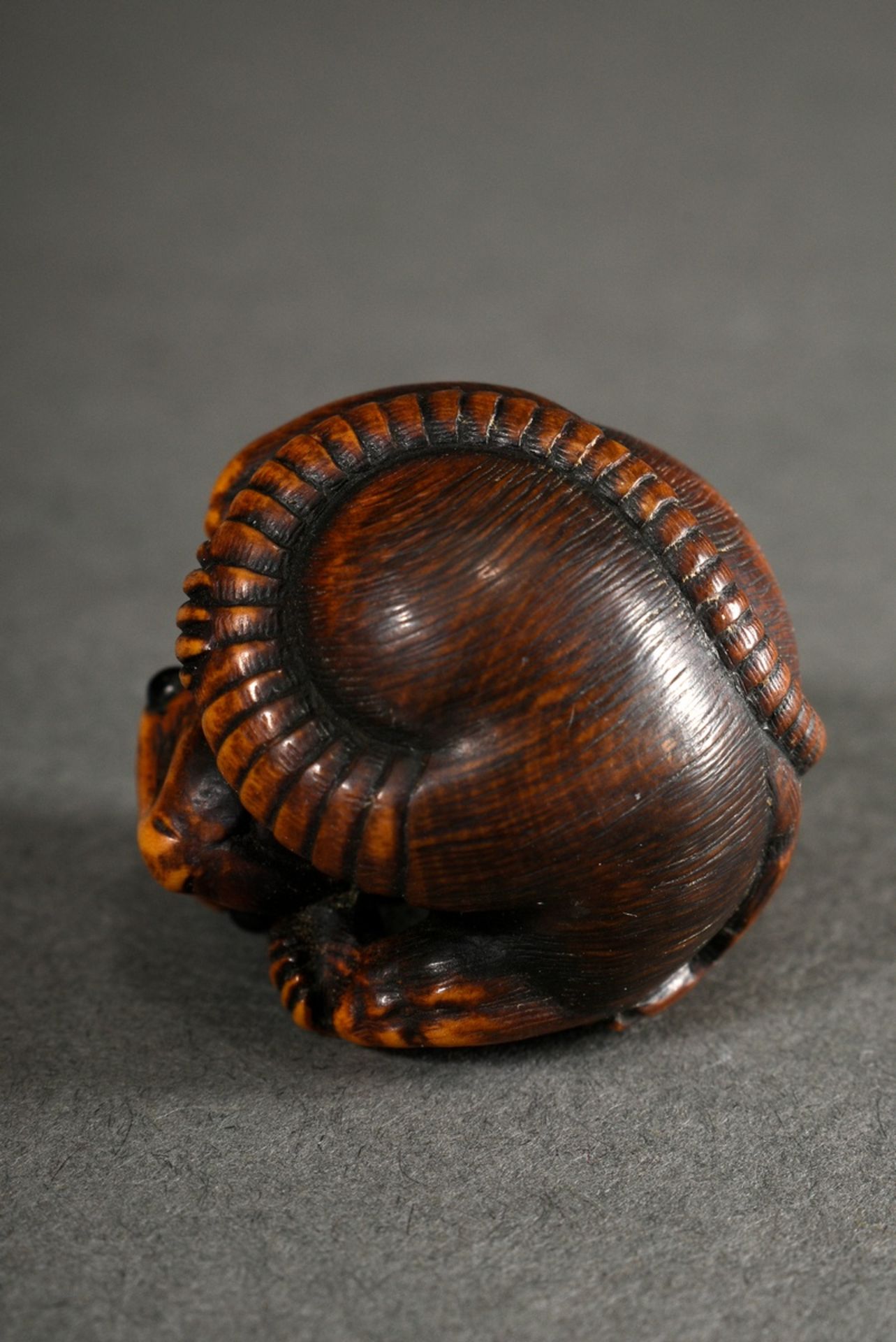 Boxwood netsuke "spherical rat" with eyes inlaid in horn, natural himotoshi through the right paw,  - Image 5 of 6