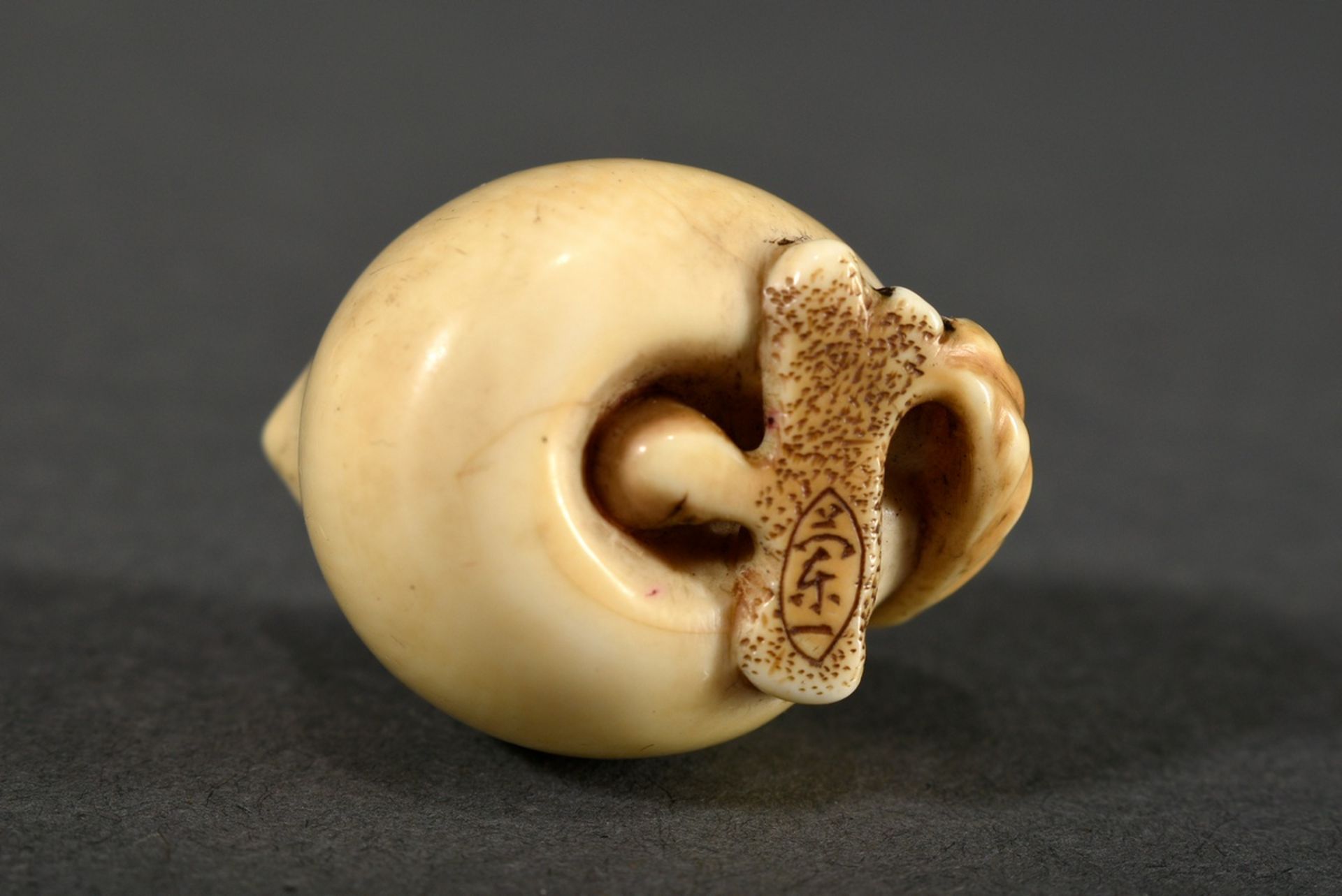 Ivory netsuke "Peach on branch with leaf", in cartouche sign. 蘭一 Ran'ichi, Japan 19th c., h. 2,4cm, - Image 4 of 5