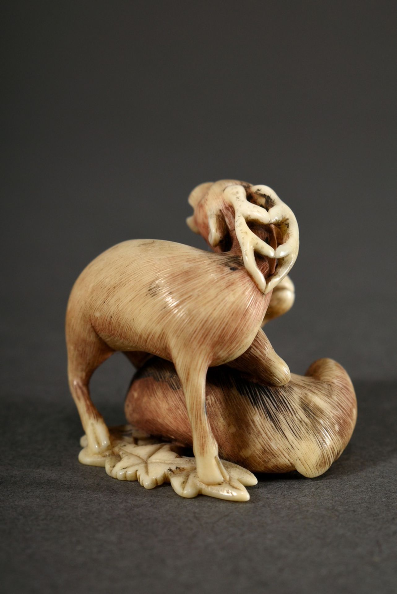 Ivory netsuke "Roaring deer with hind on maple foliage" with finely engraved and partially dyed fur - Image 4 of 7