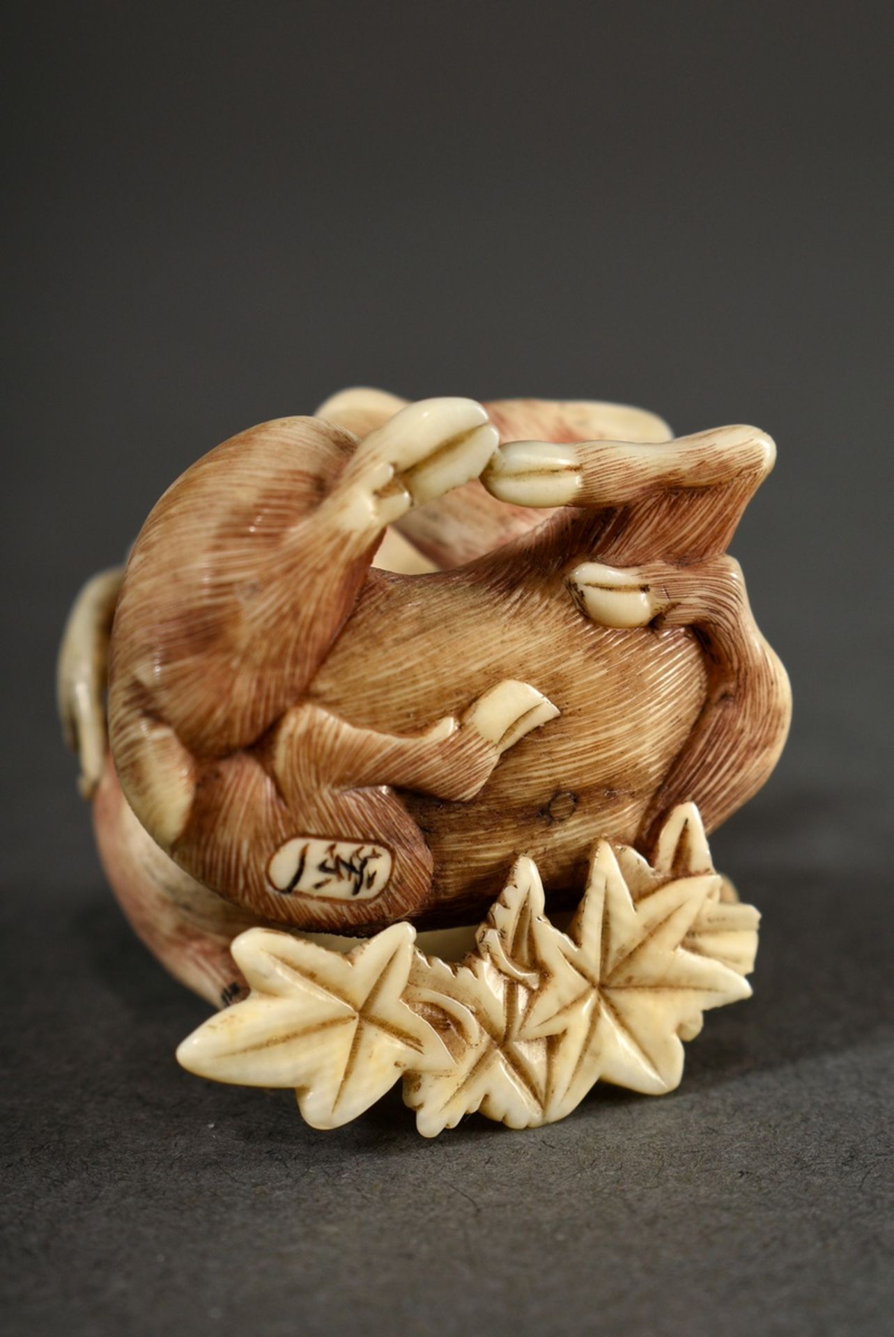 Ivory netsuke "Roaring deer with hind on maple foliage" with finely engraved and partially dyed fur - Image 5 of 7